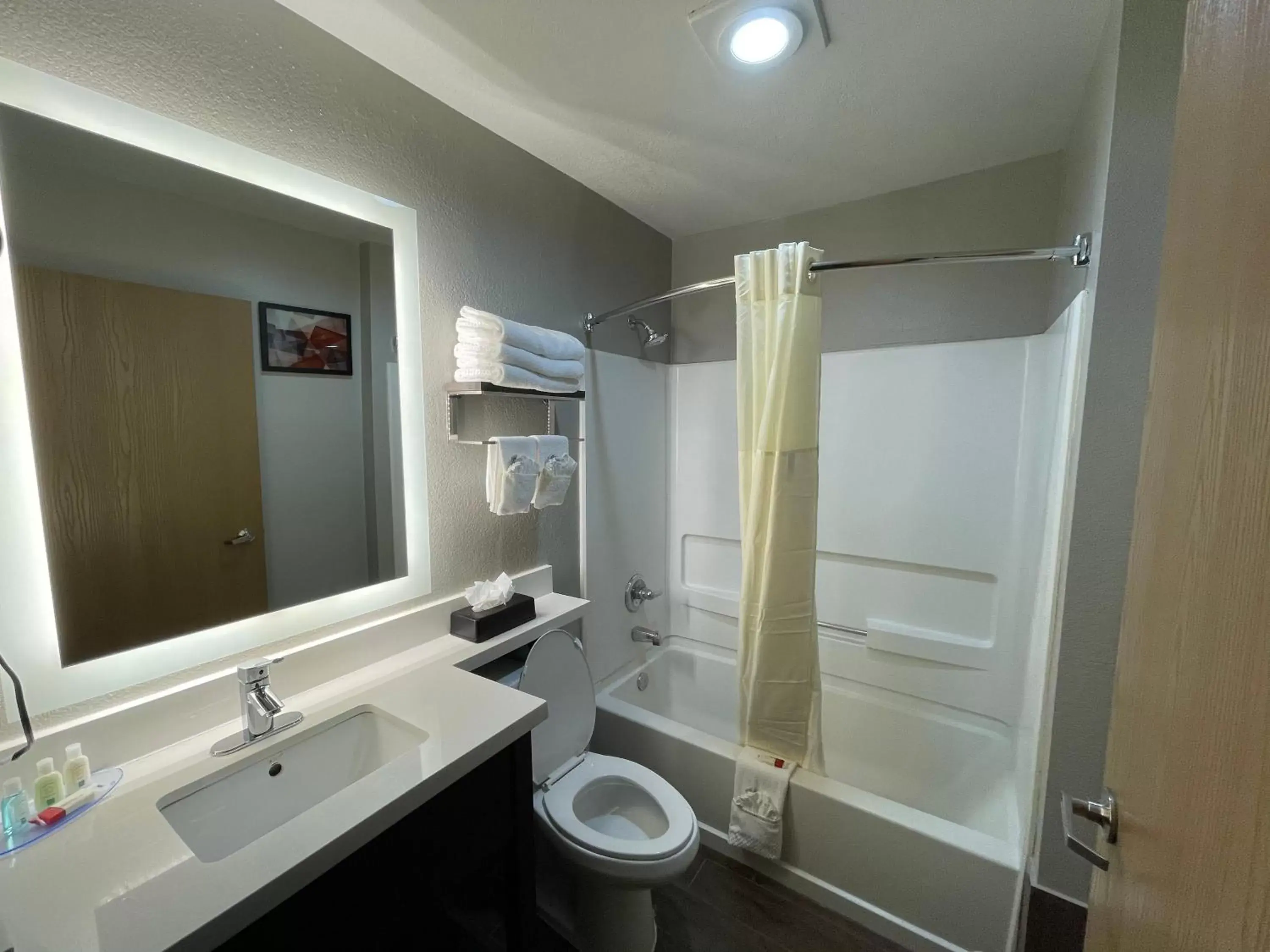 Bathroom in Quality Inn & Suites North Mesquite I-30