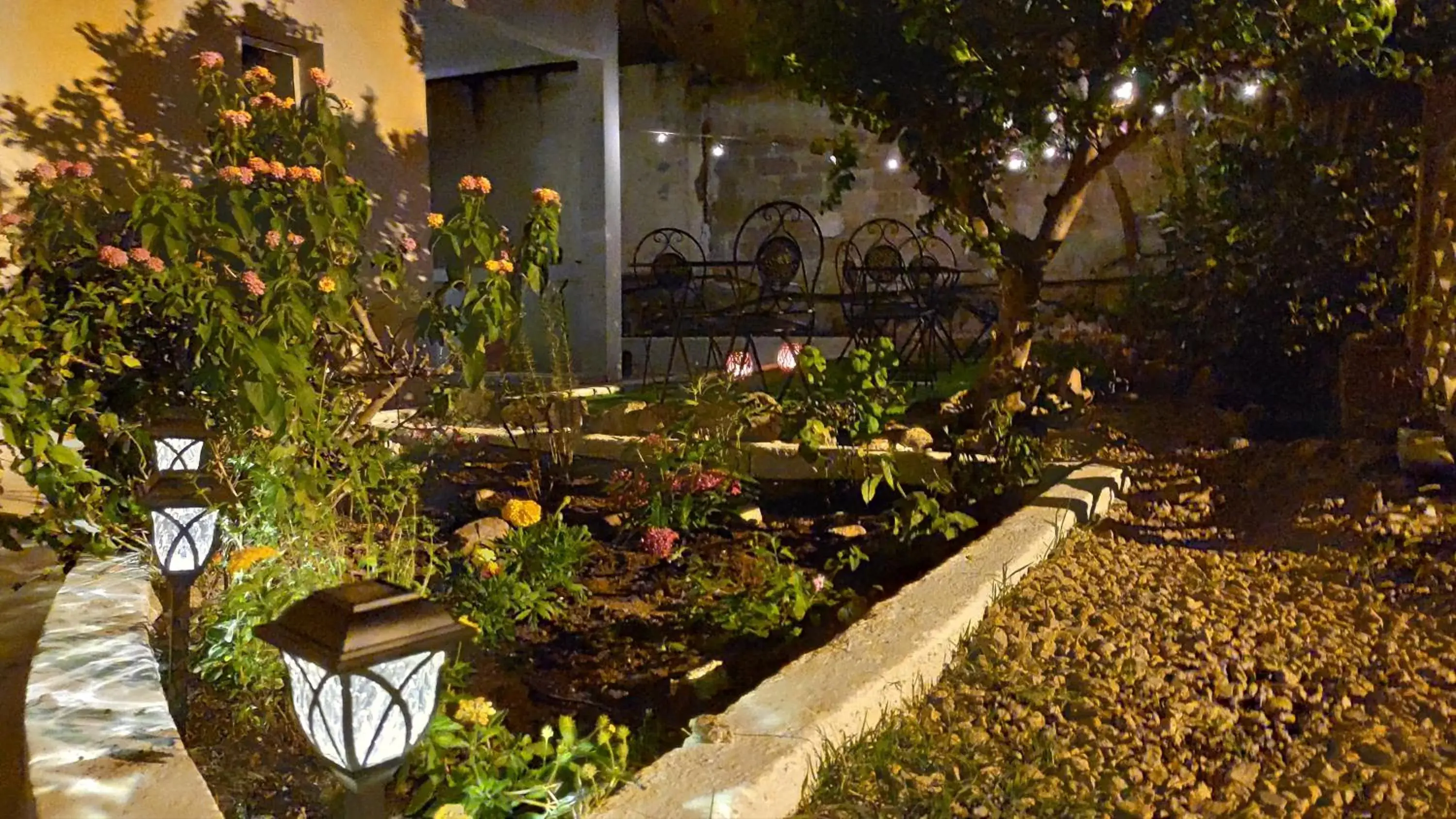 Night, Garden in L'Ajaccio B&B