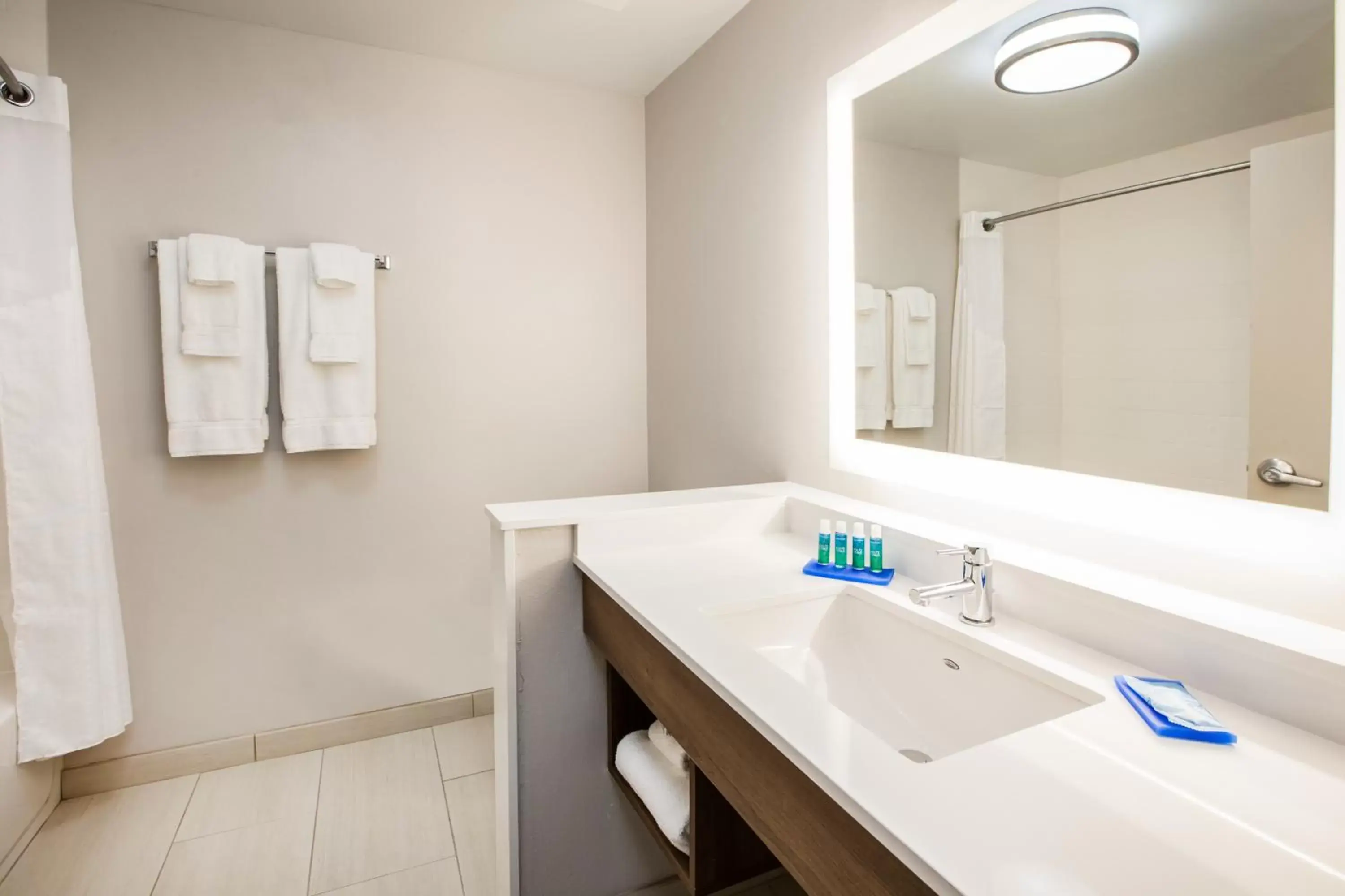 Bathroom in Holiday Inn Express Hotel & Suites Boston - Marlboro, an IHG Hotel