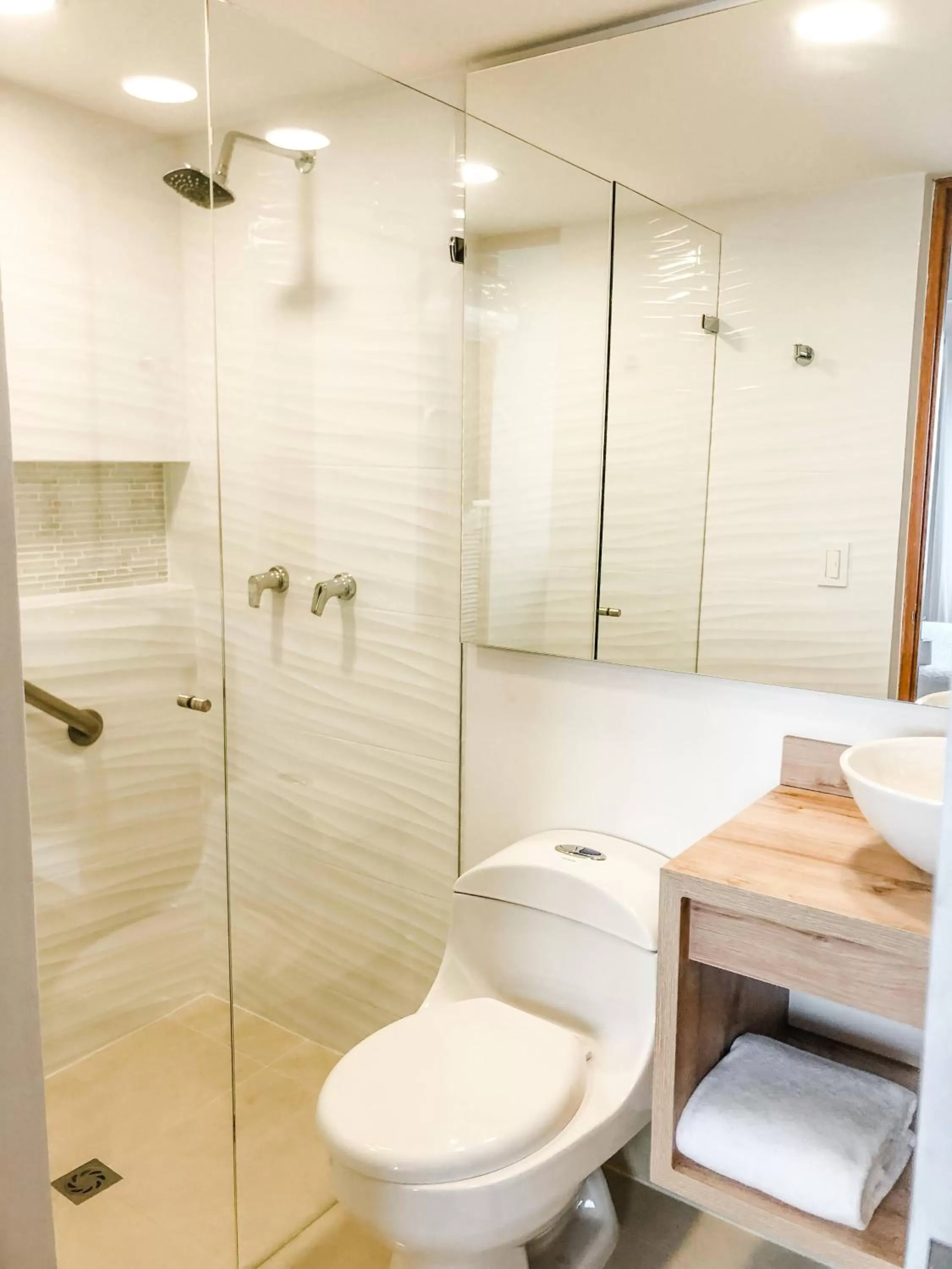 Toilet in Portal del Rodeo ApartaHotel - Arkadia Mall