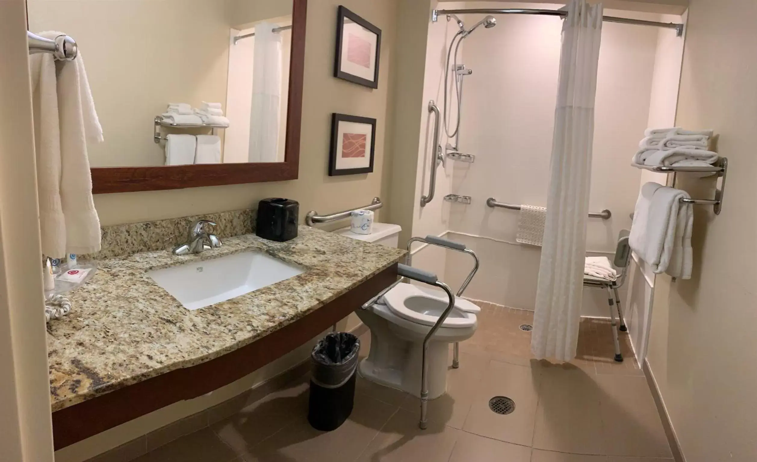 Bathroom in Comfort Inn Naples East I-75