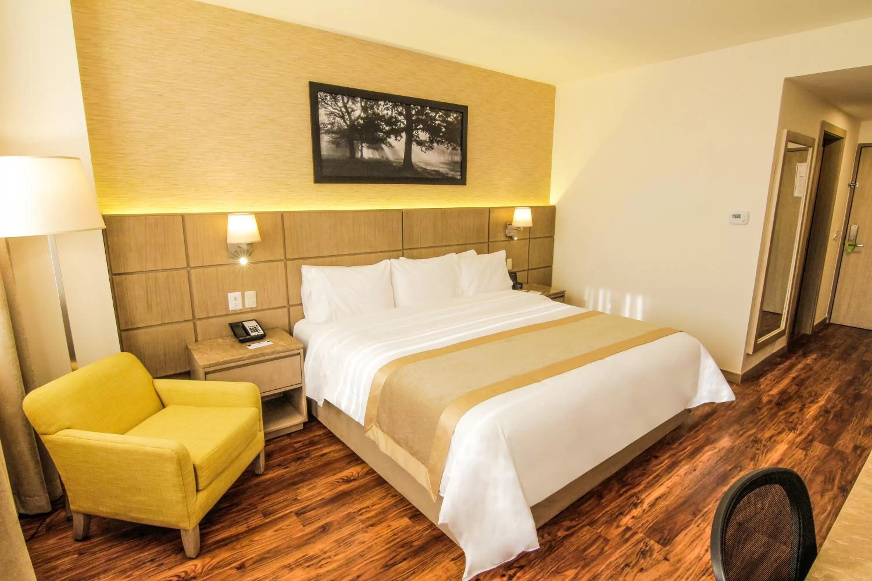 Photo of the whole room, Bed in Radisson Hotel Guayaquil