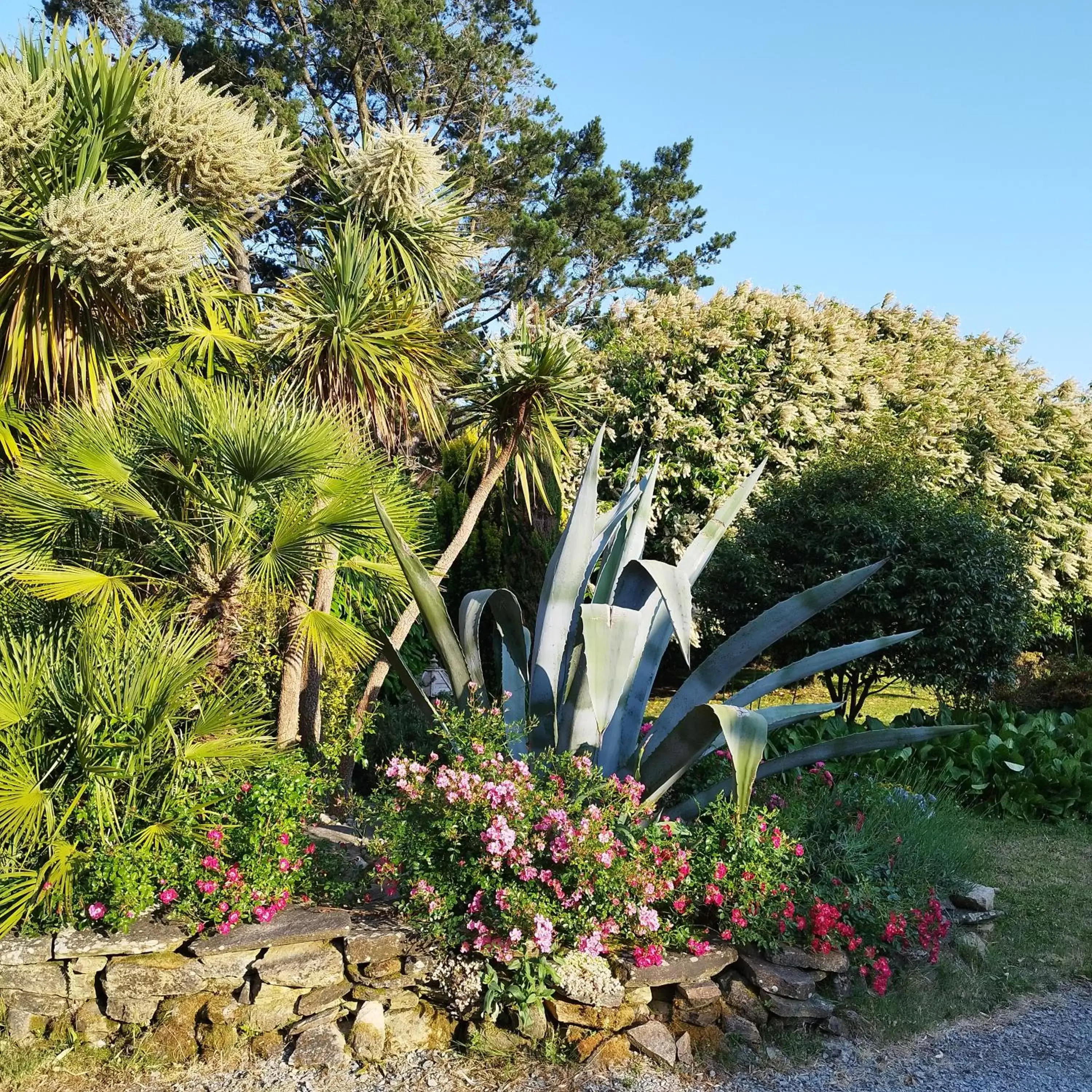 Garden view, Garden in Les 3 Koïs