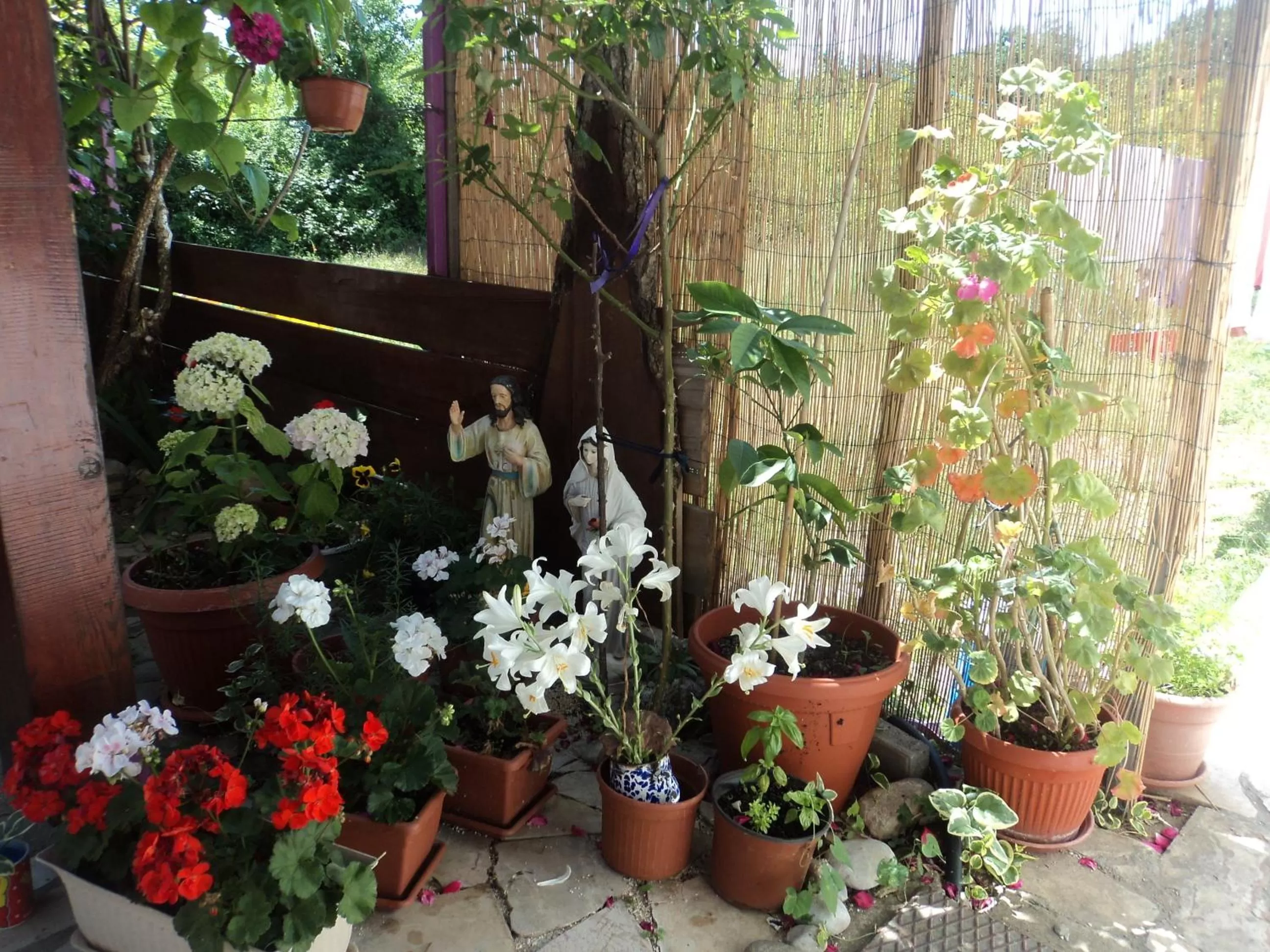 View (from property/room) in Pansion Modana Medjugorje