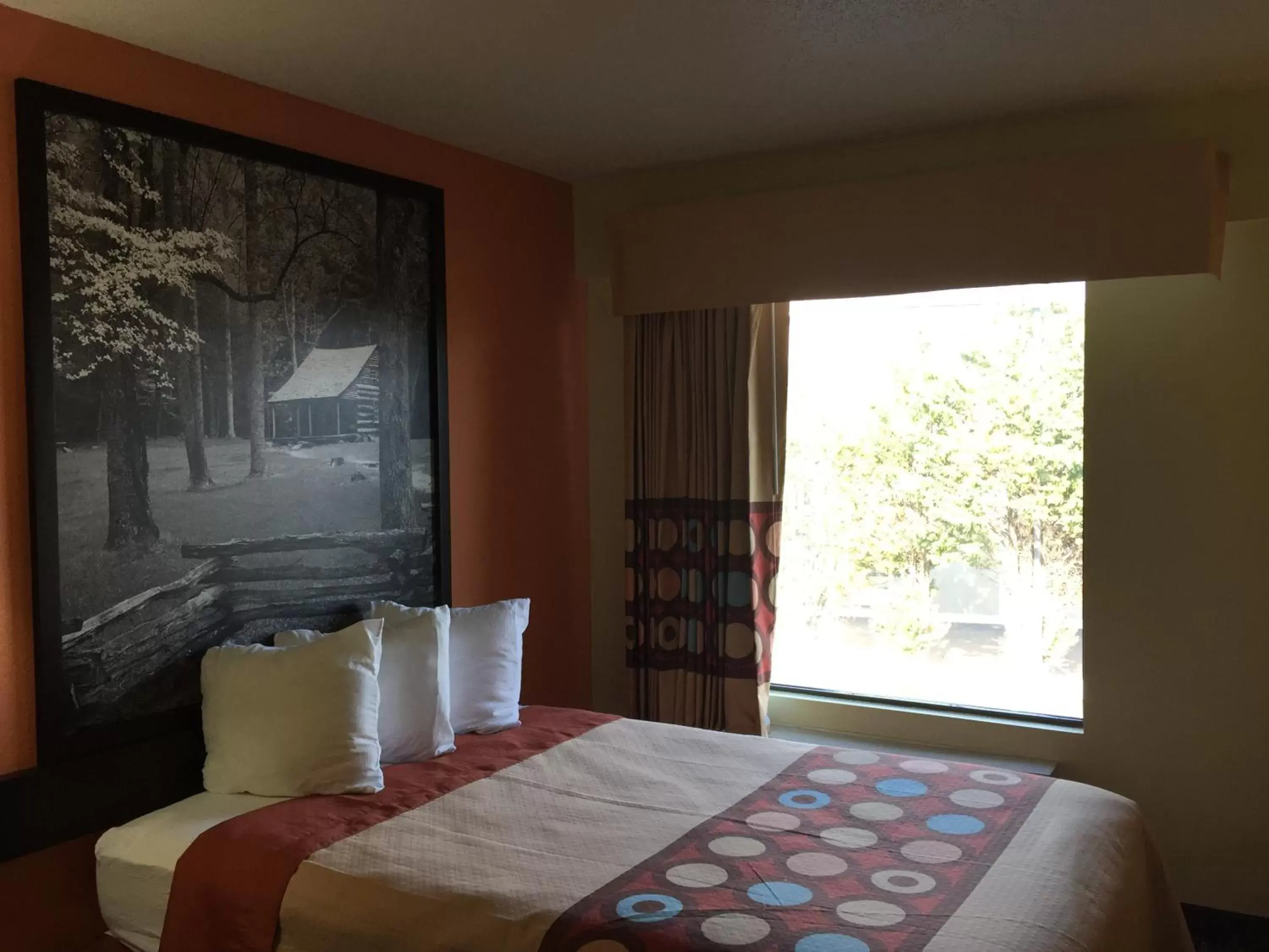 View (from property/room), Bed in Super 8 by Wyndham Dandridge