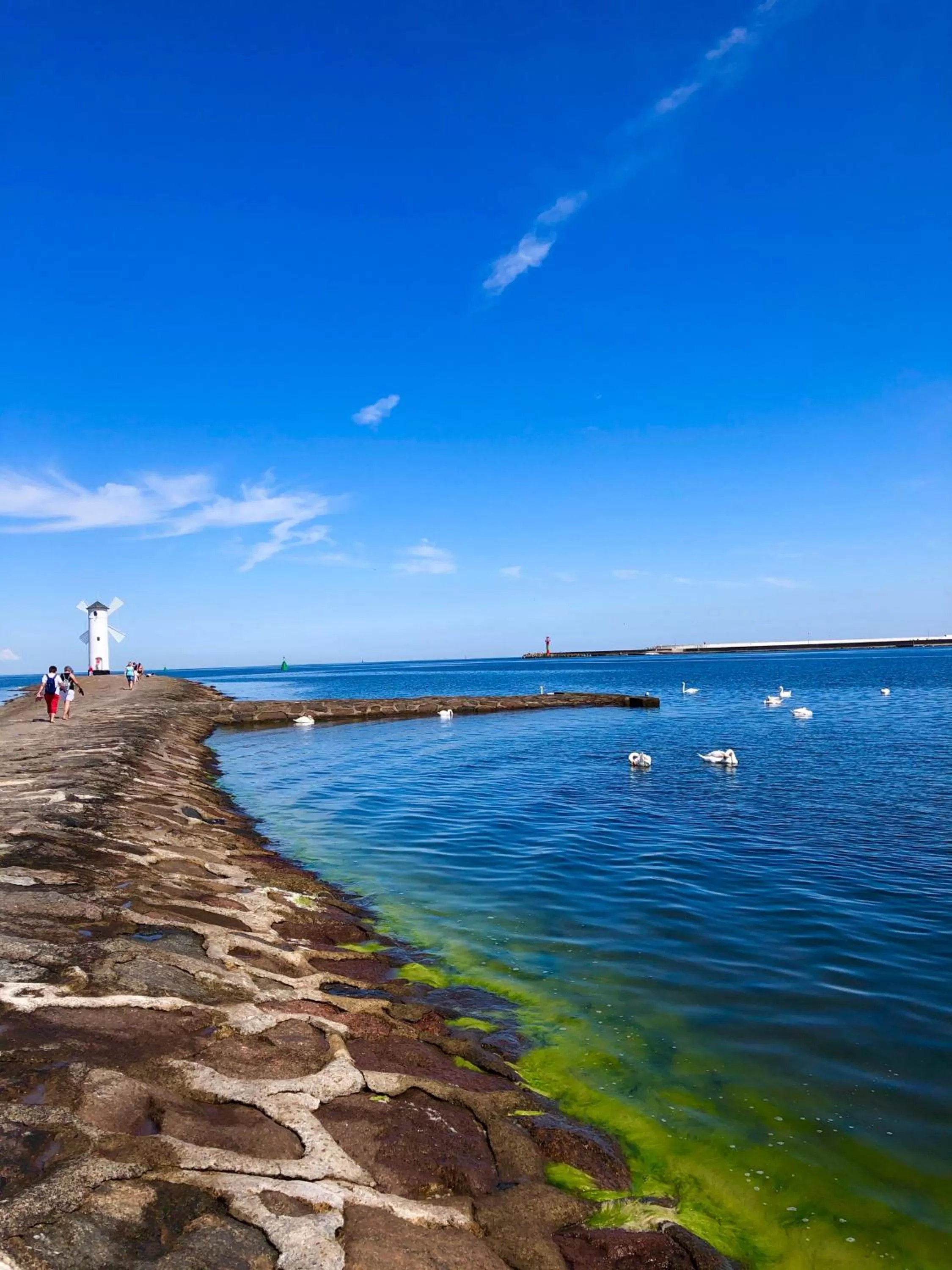 Natural landscape in Willa 4 Pory Roku & Uznam