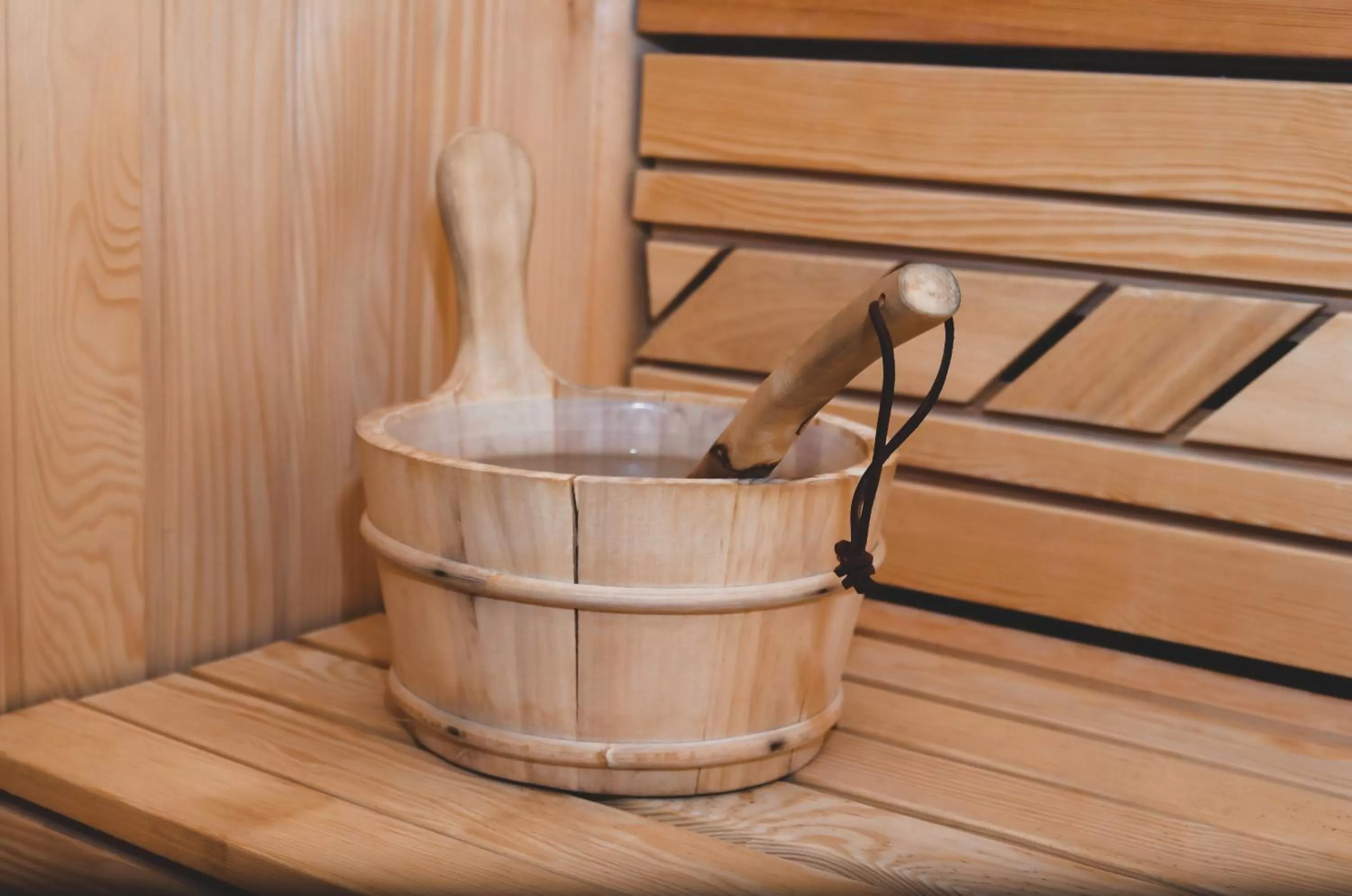 Spa and wellness centre/facilities in Hotel Alexandar Lux