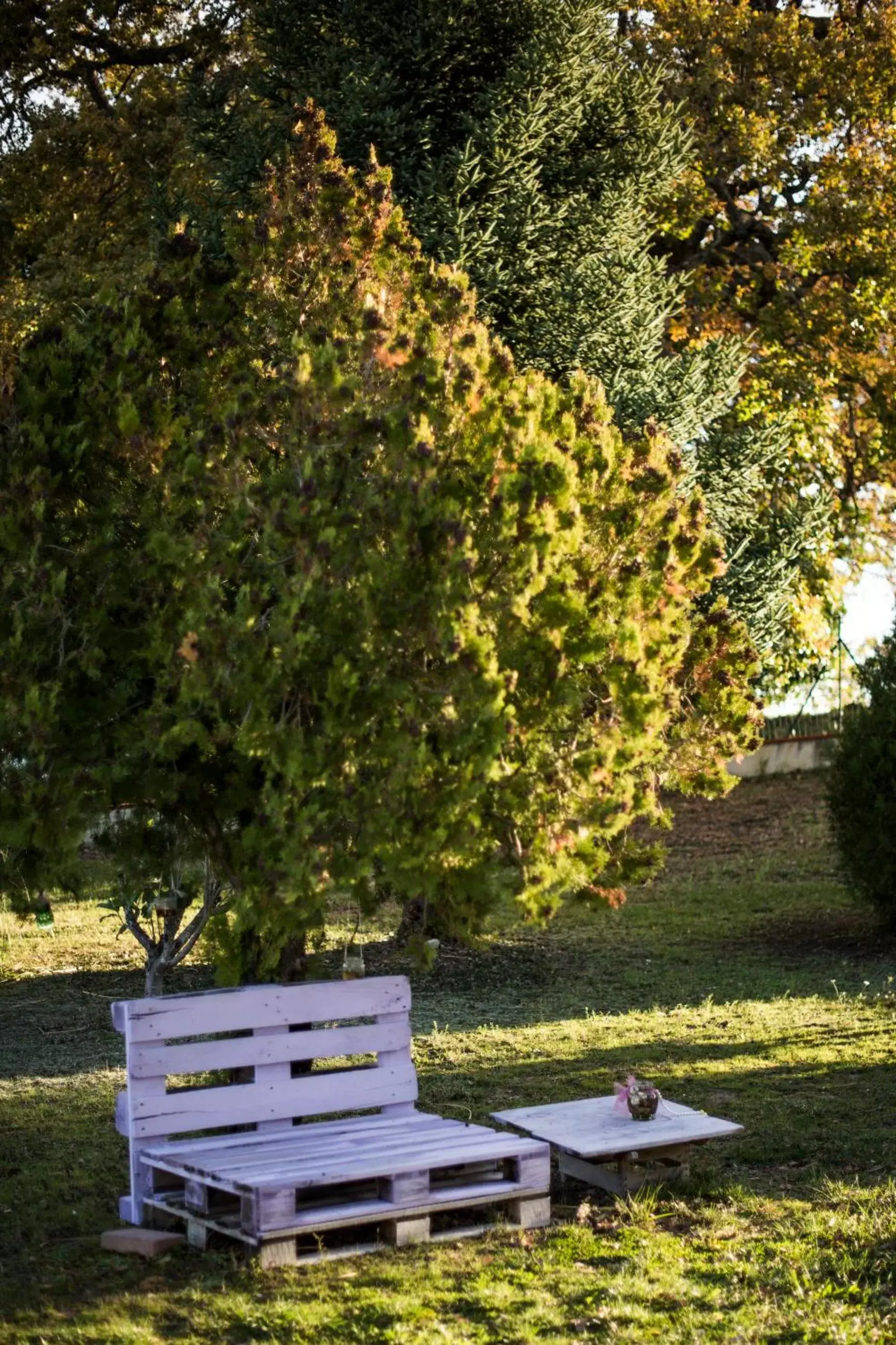 Garden in Amor di Lavanda