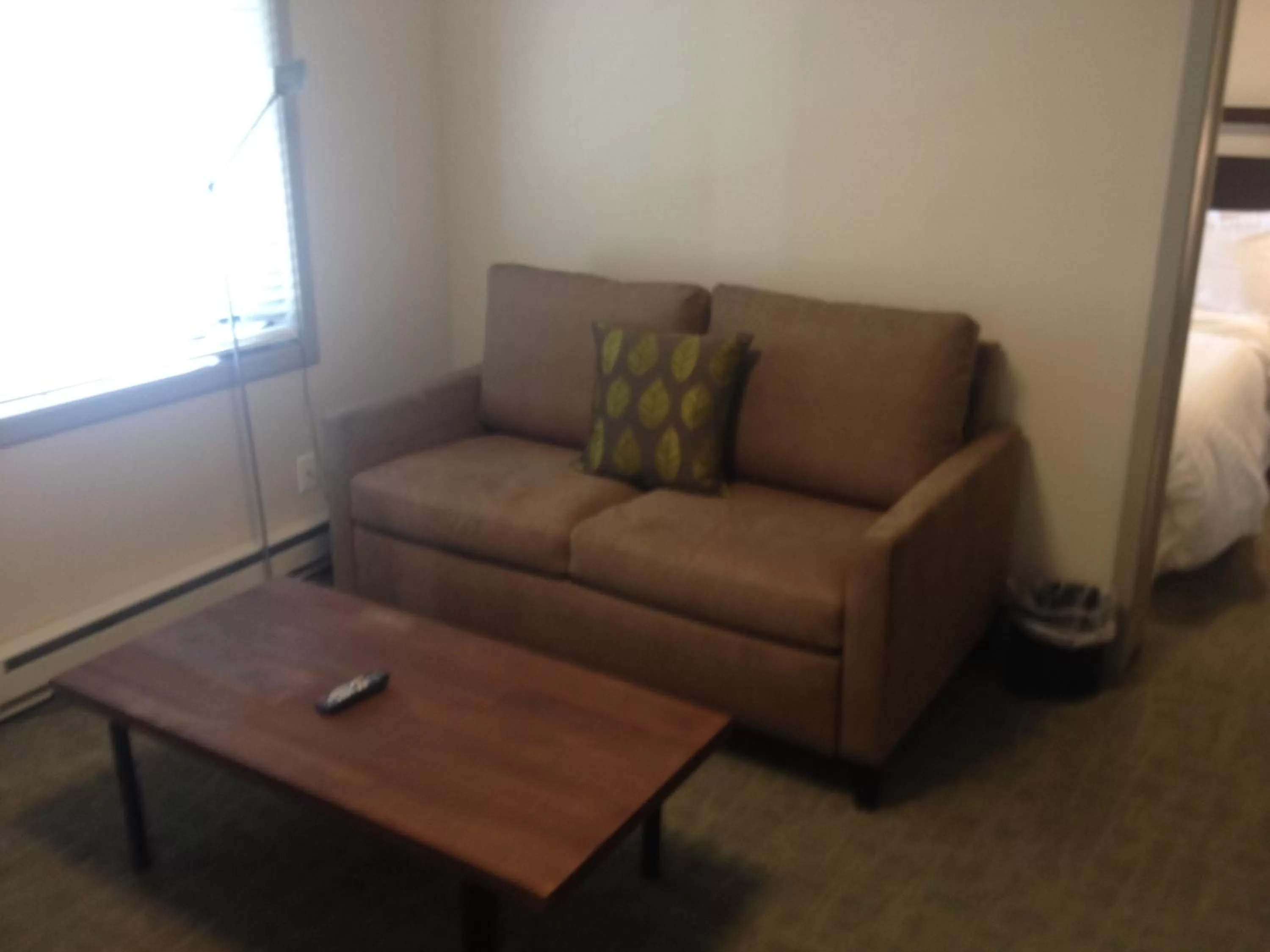 One-Bedroom Suite in Basalt Mountain Inn