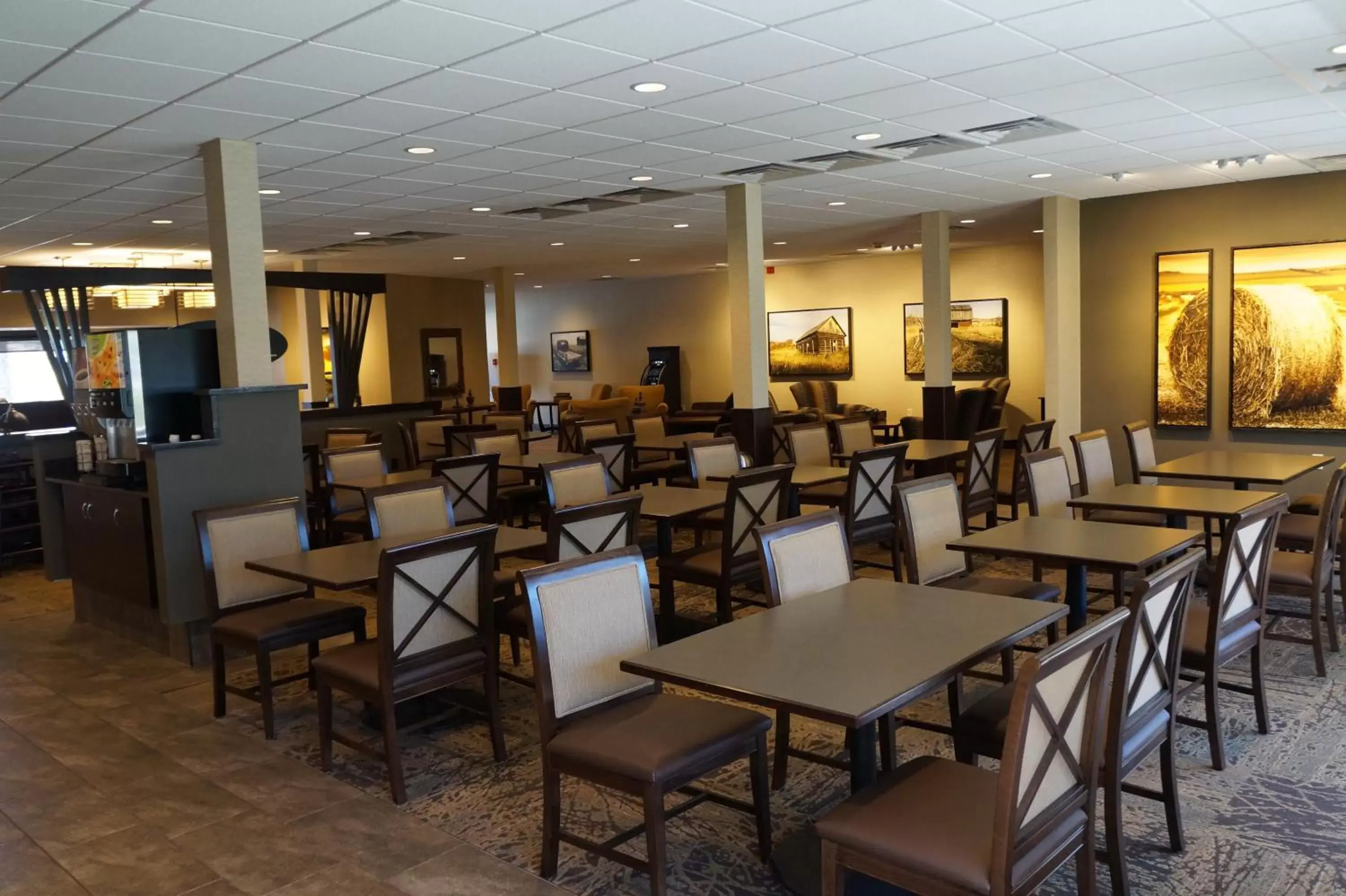 Lounge or bar, Restaurant/Places to Eat in The Biltmore Hotel & Suites Main Avenue