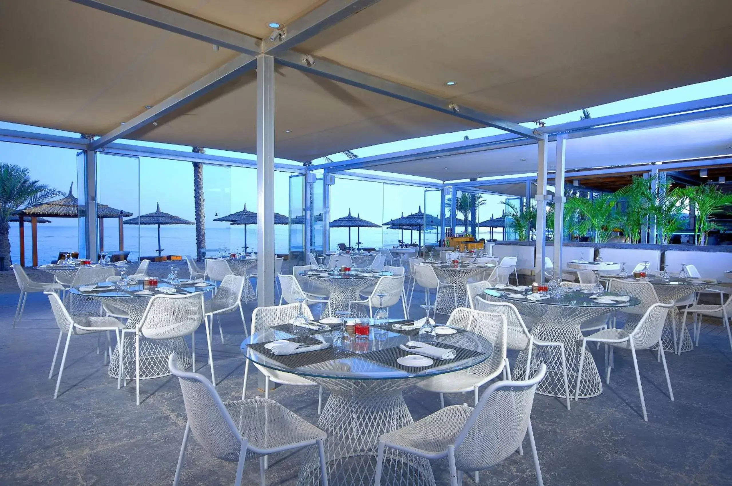 Restaurant/Places to Eat in Coral Sea Imperial "Coral Sea Sensatori"