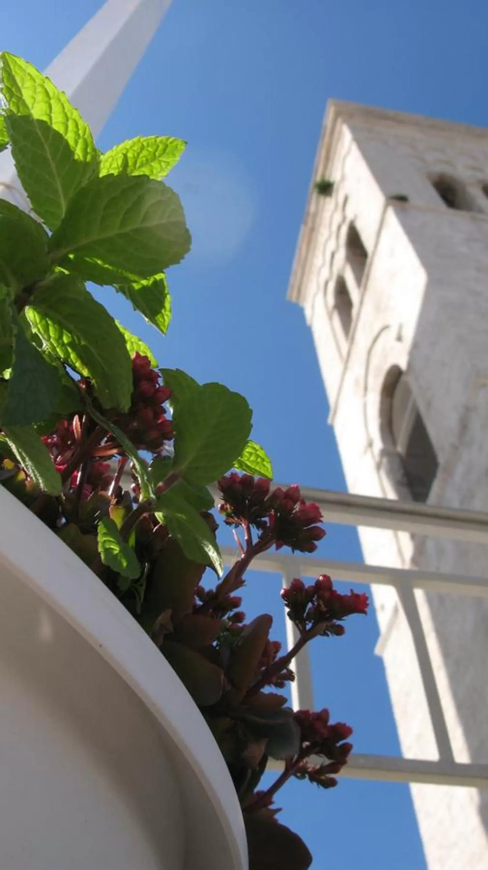 Balcony/Terrace in Il Mulino di Amleto - Bed and Breakfast letterario