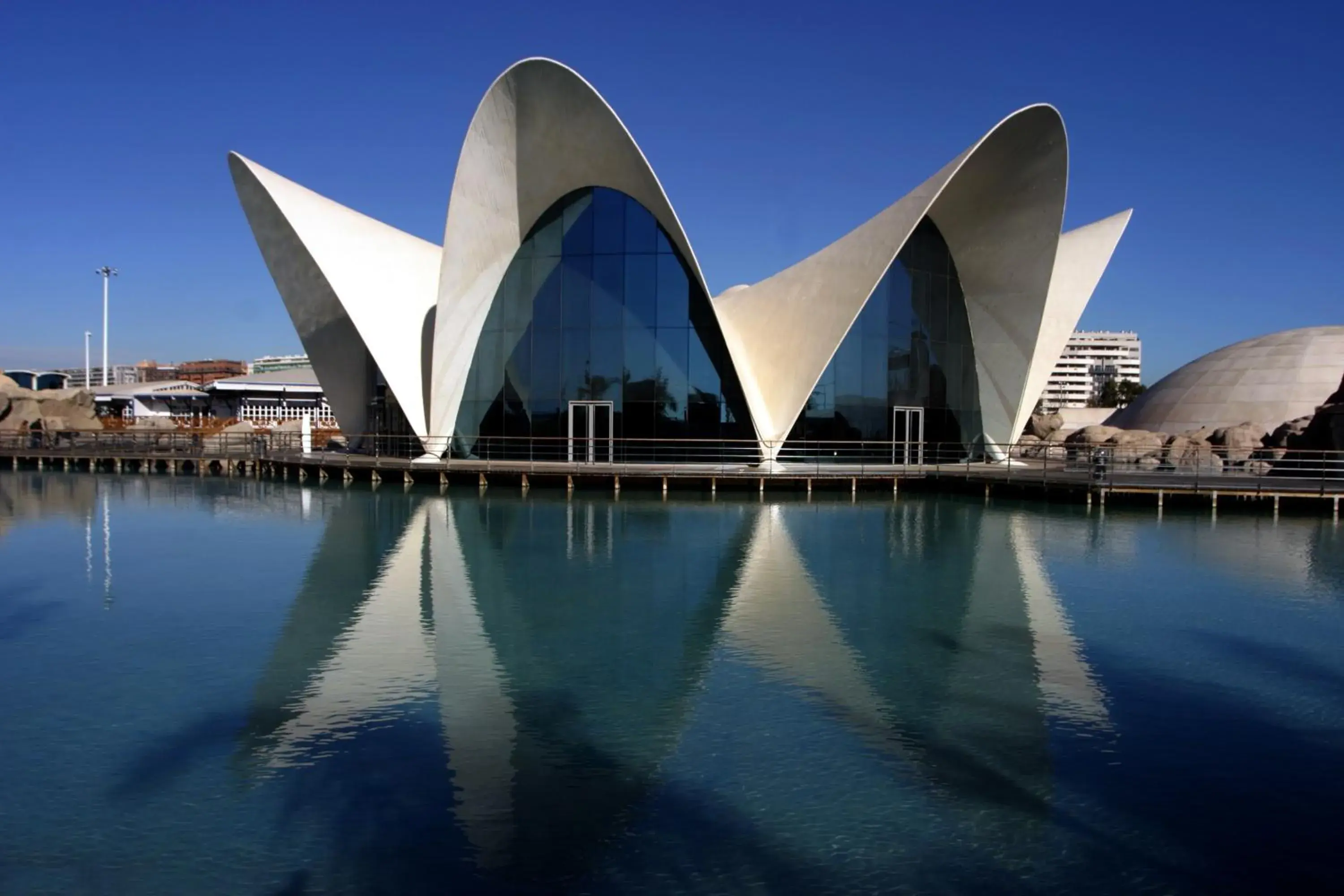 Nearby landmark, Swimming Pool in Valenciaflats Ciudad de las Ciencias