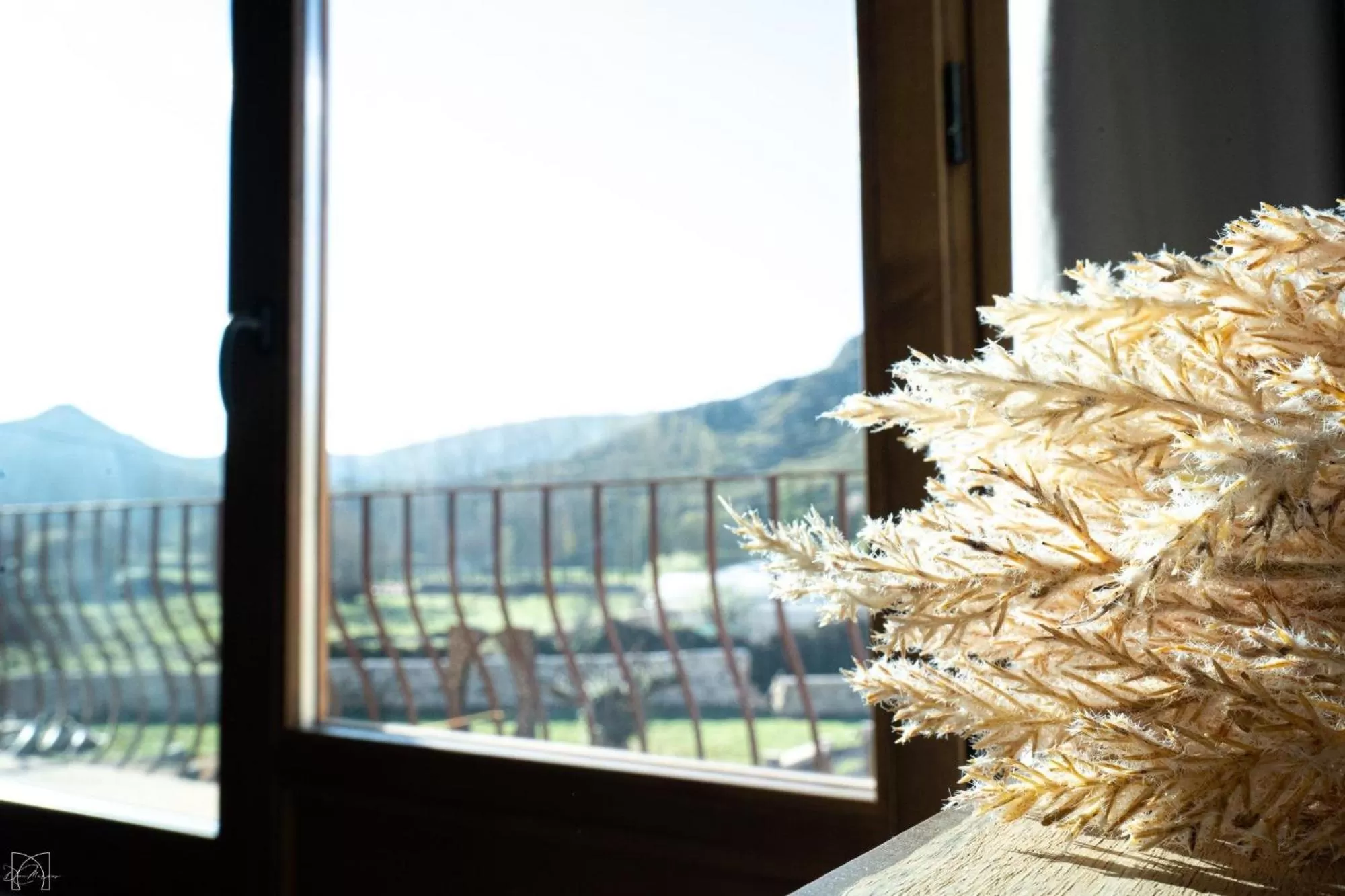 Balcony/Terrace in Hotel Don Marcos