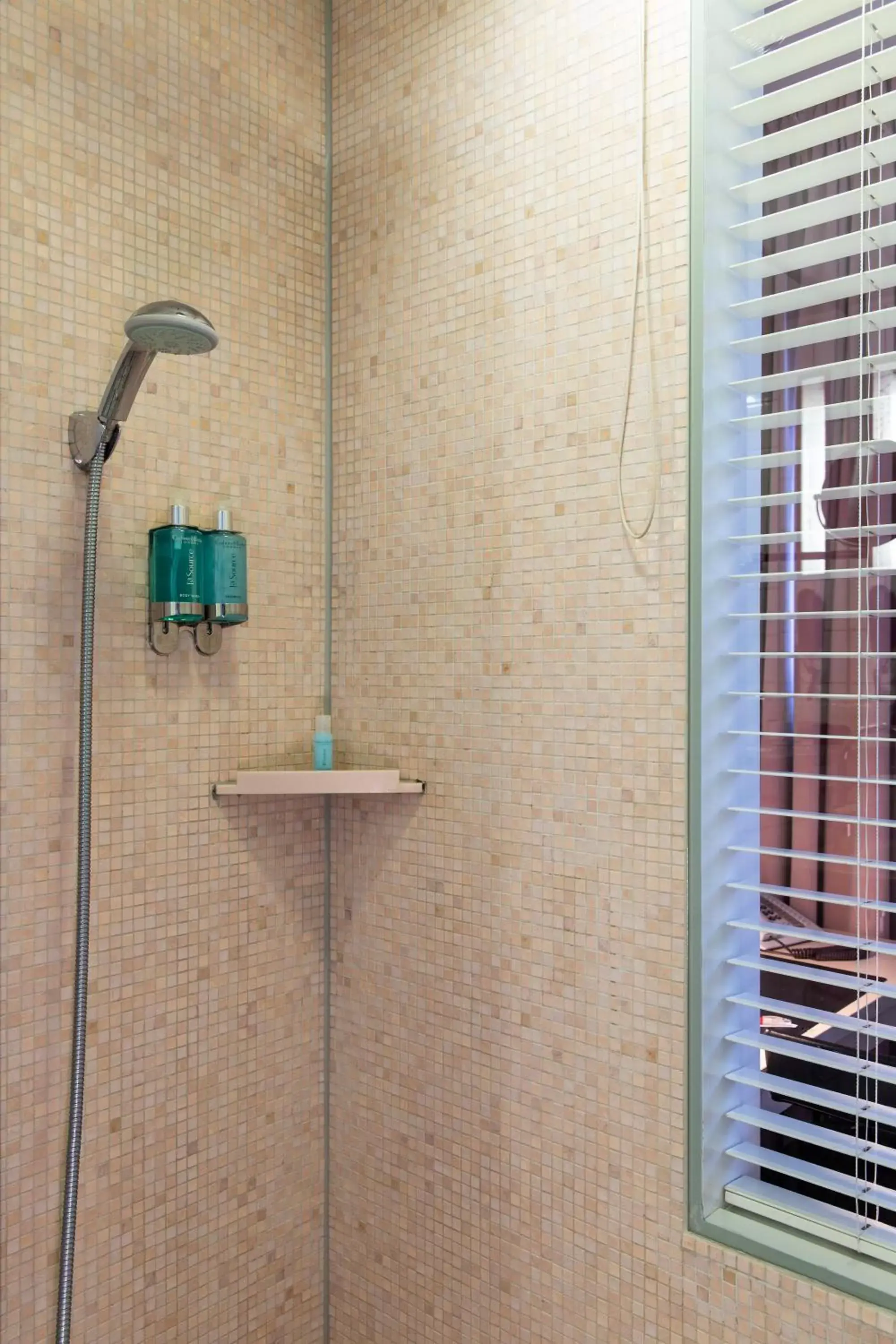 Shower, Bathroom in Hotel Rival