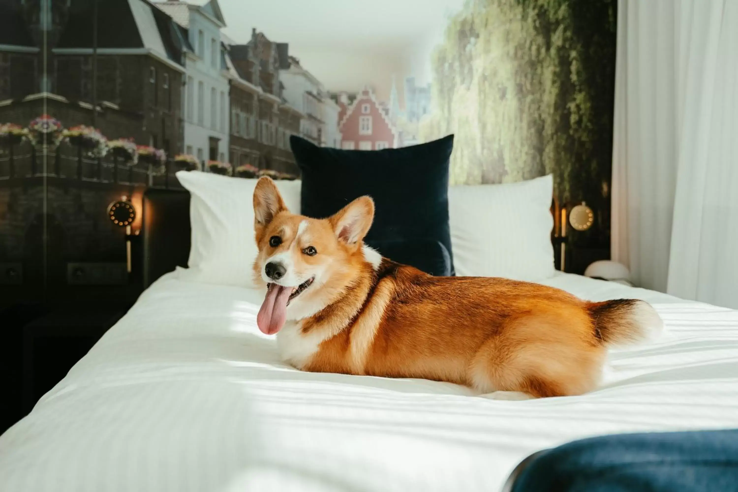 Property building, Pets in Residence Inn Ghent by Marriott