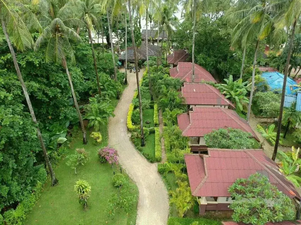 Bird's eye view, Bird's-eye View in Moonwalk Lanta Resort