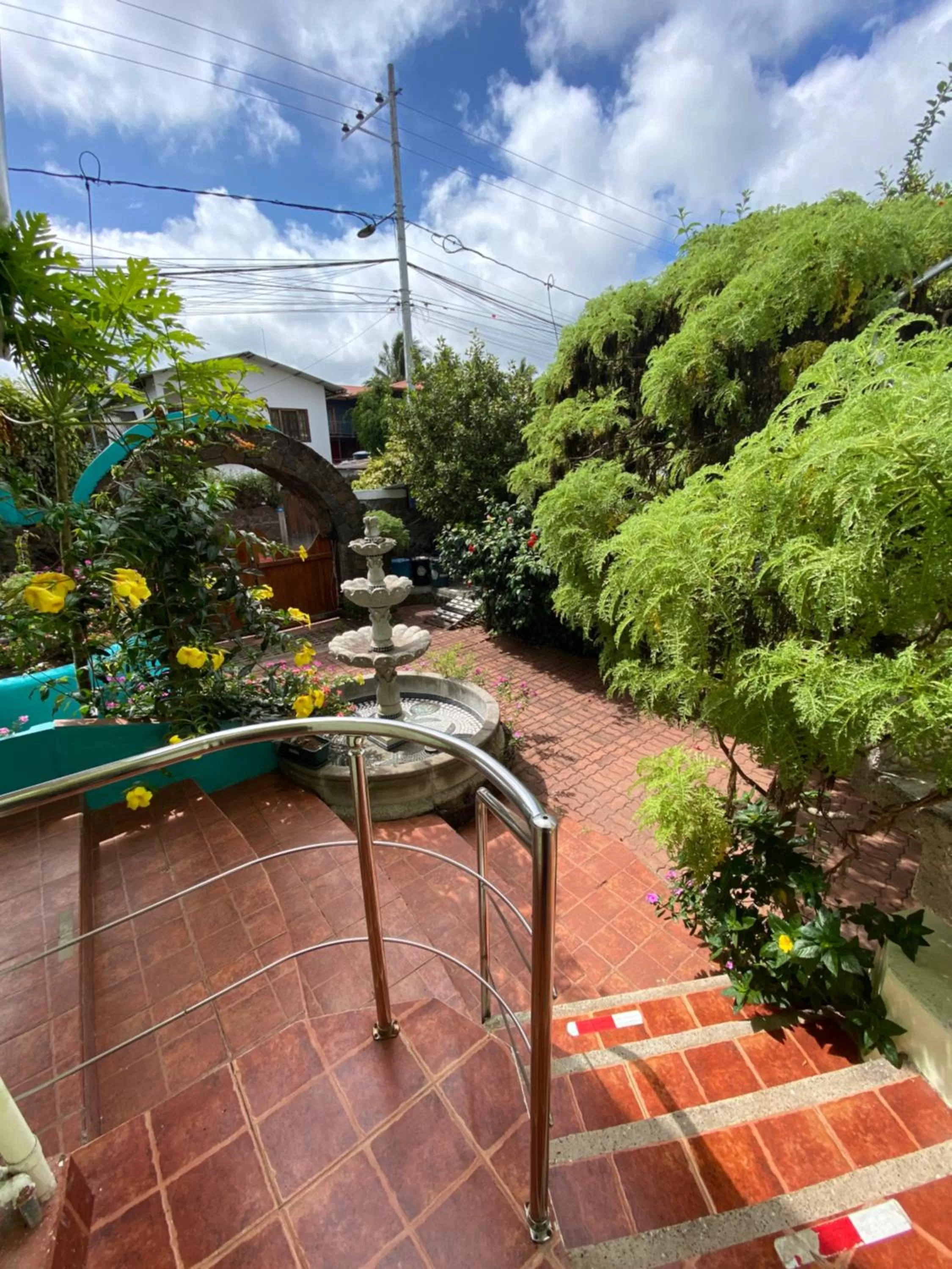 Patio in Hostal Casa Edén