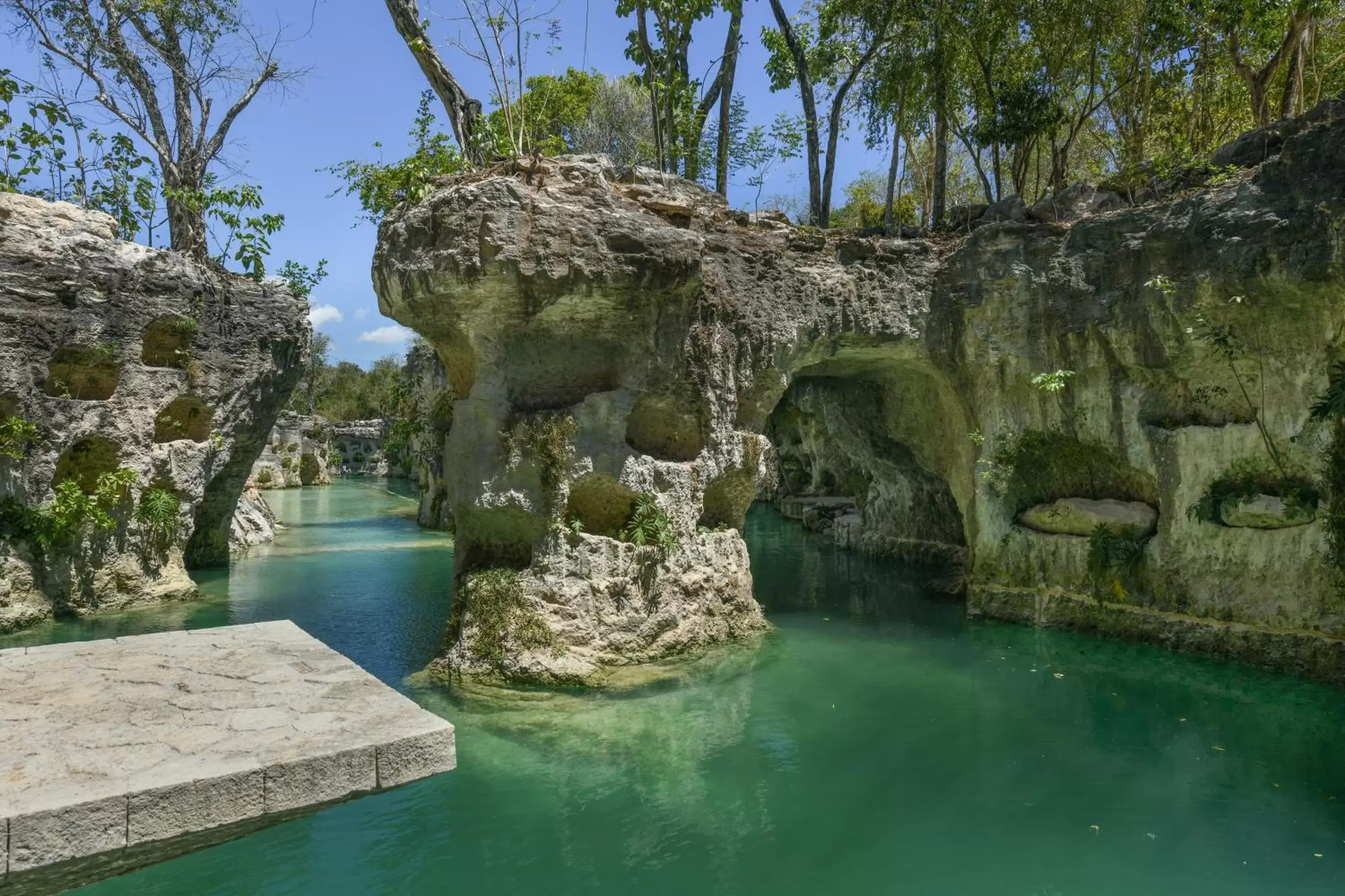 Natural landscape in Hotel Xcaret Arte - All Parks All Fun Inclusive - Adults Only