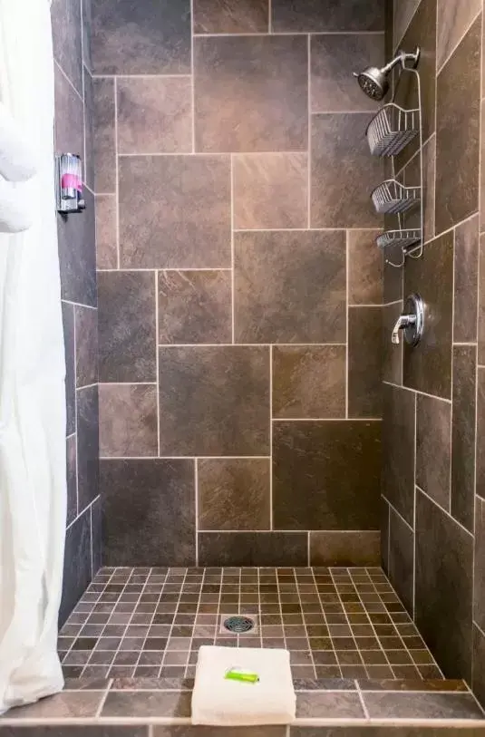 Shower, Bathroom in The Stagecoach Inn