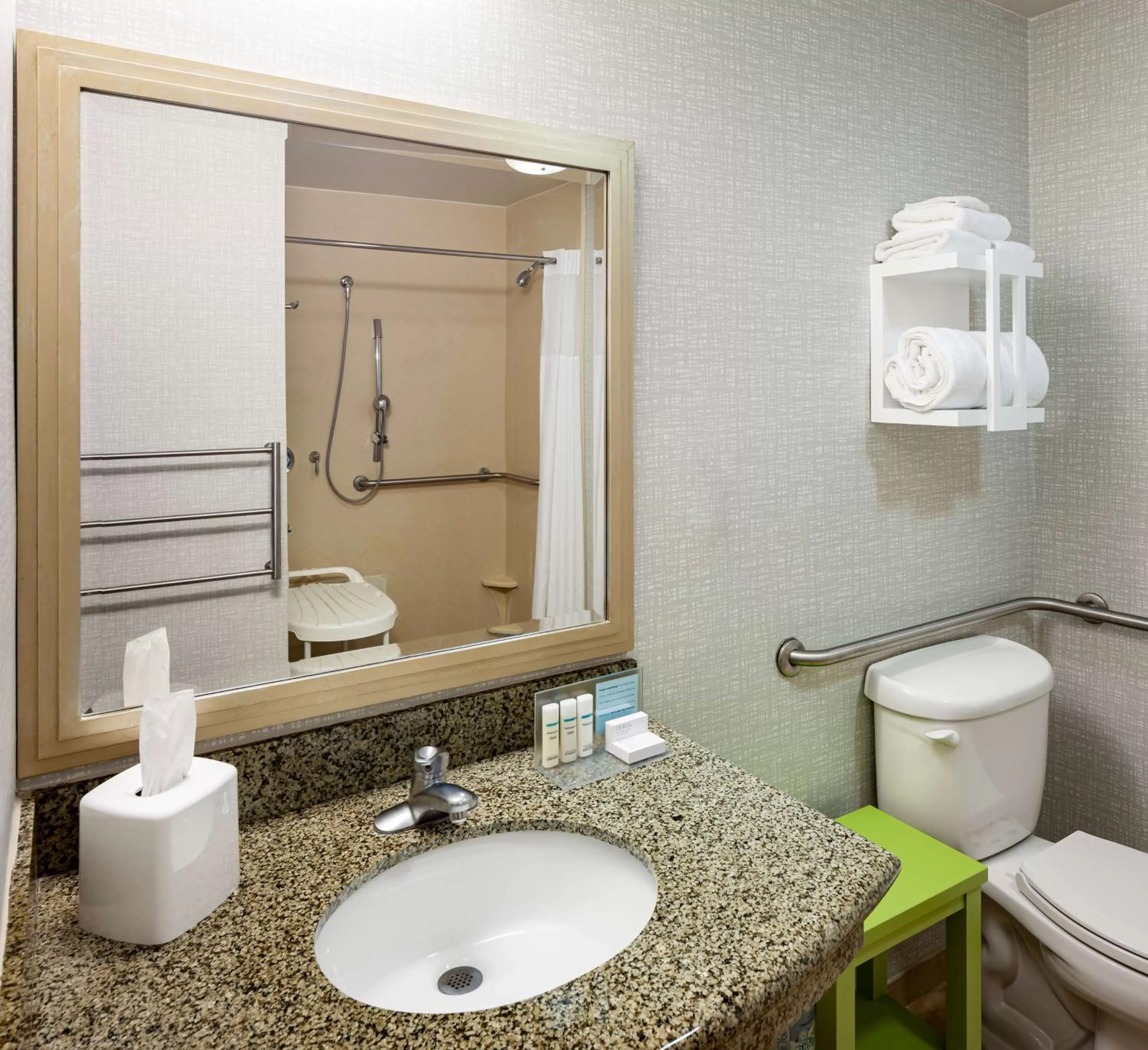Bathroom in Hampton Inn & Suites Mobile I-65@ Airport Boulevard