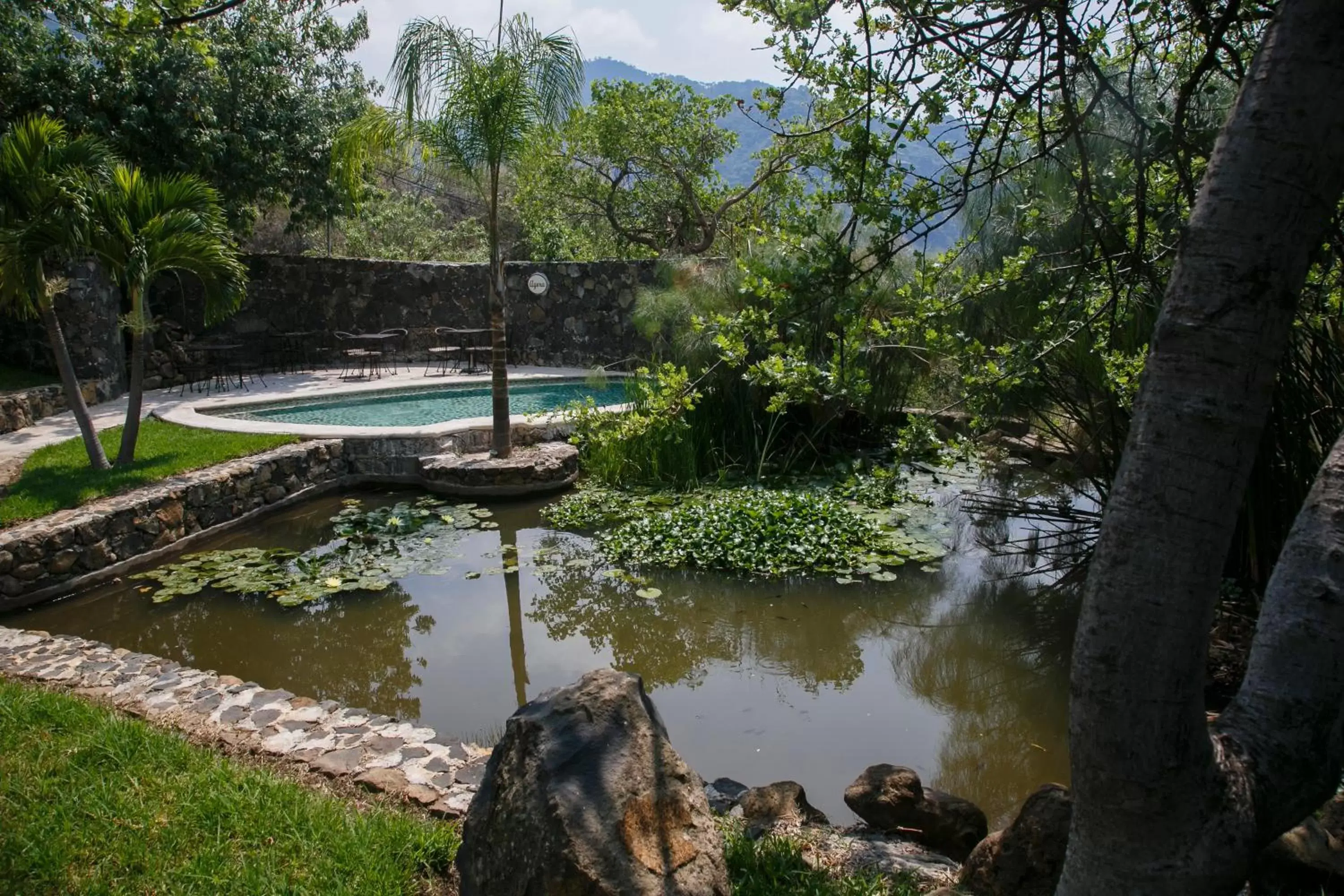 Day in Hostal de la Luz - Spa Holistic Resort