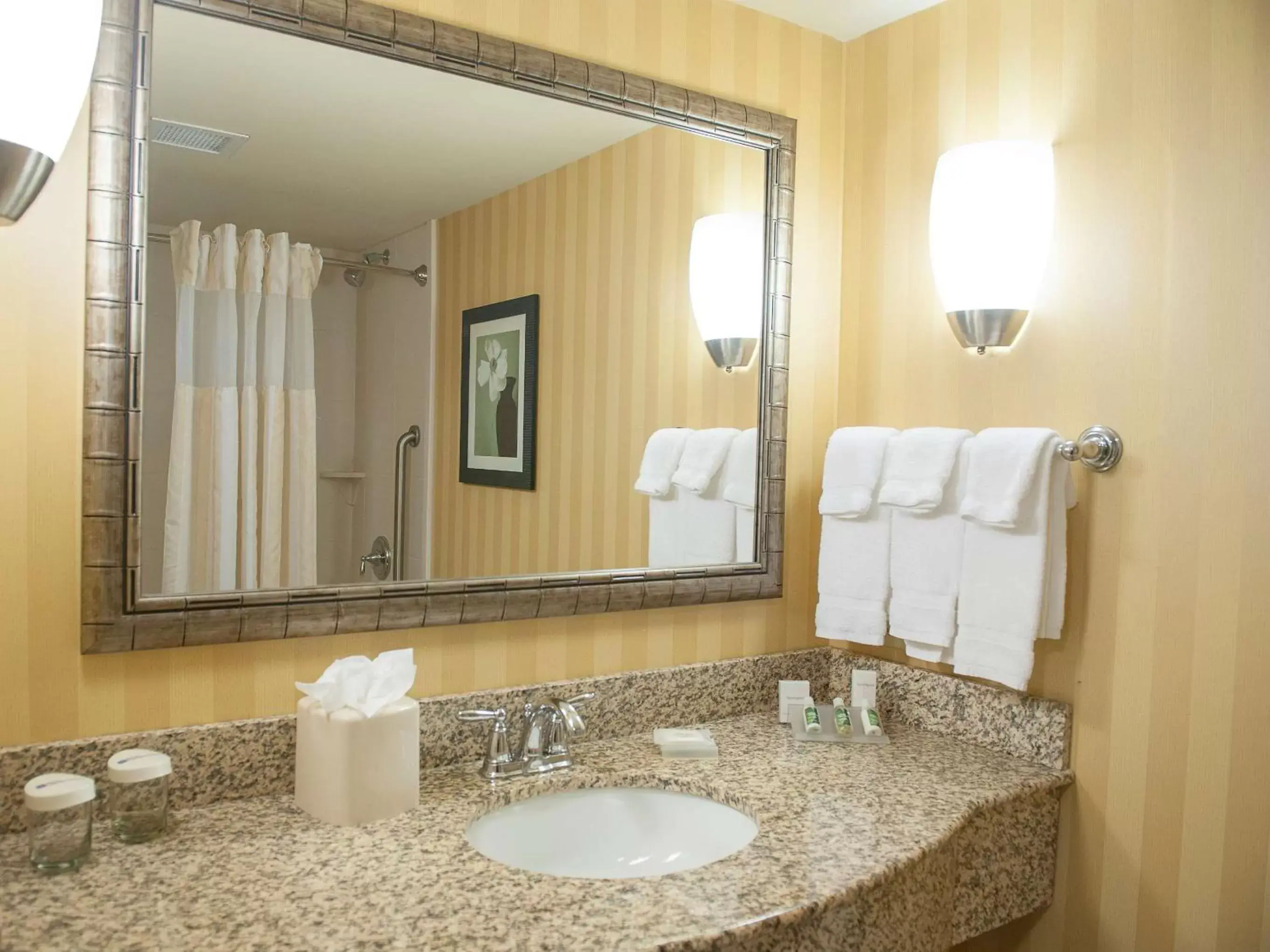 Bathroom in Hilton Garden Inn Pensacola Airport/Medical Center