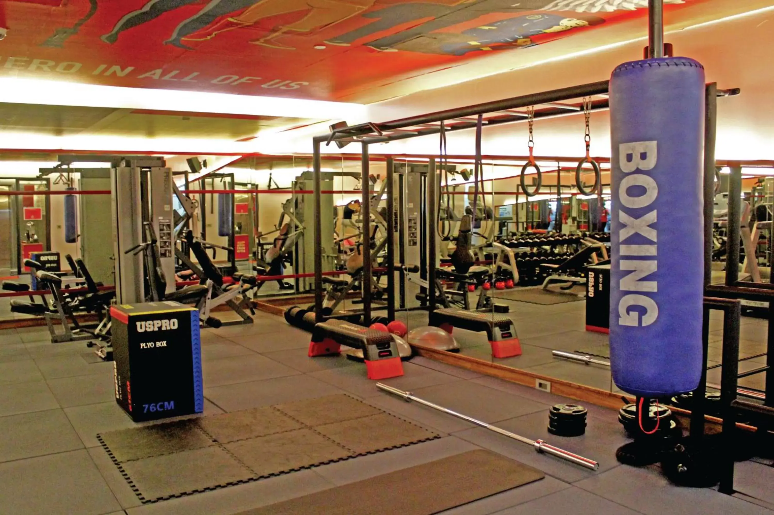 Fitness centre/facilities, Fitness Center/Facilities in The Smallville Hotel