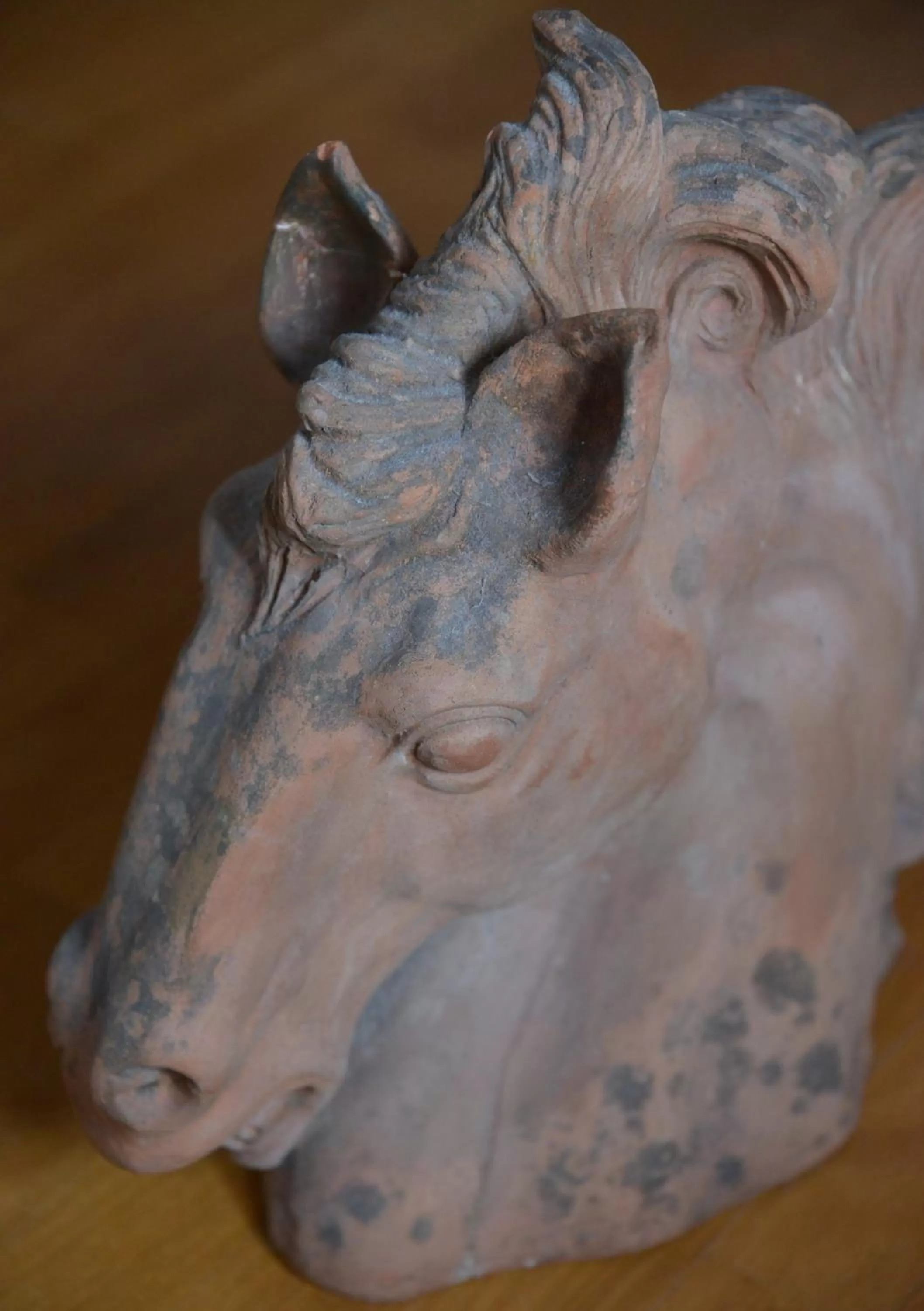 Decorative detail in Casa Fontanino