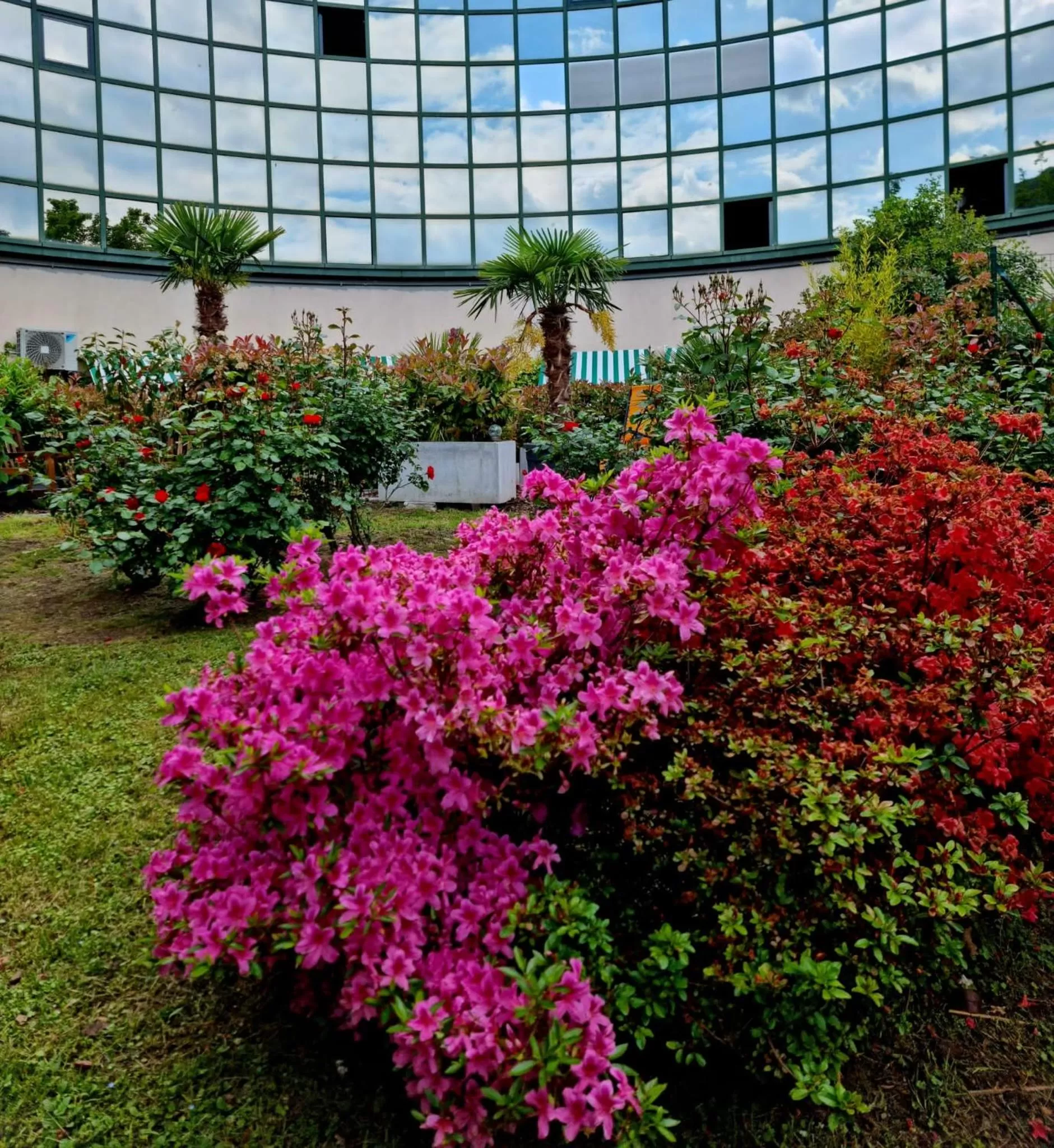 Victoria Royal Garden