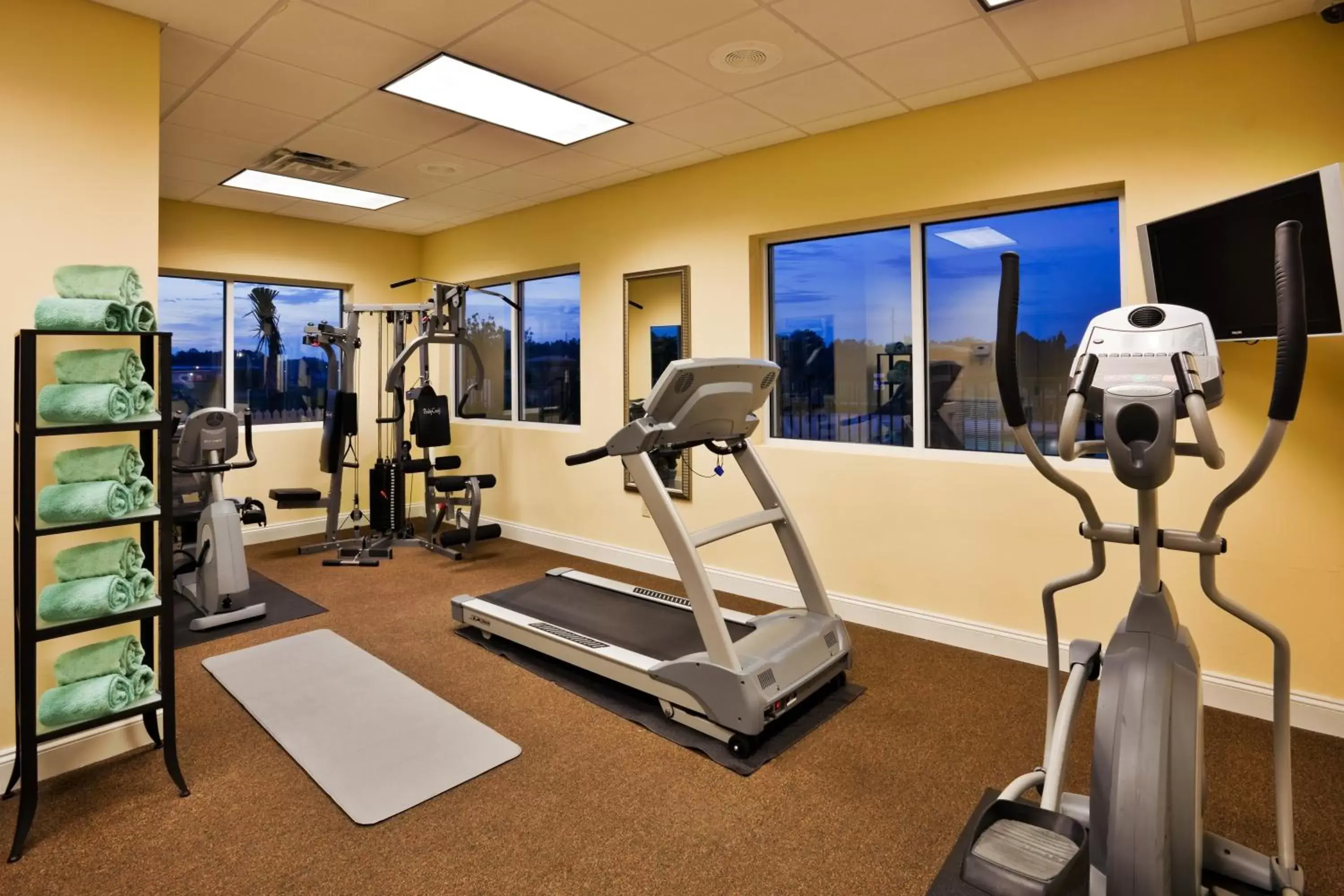 Lobby or reception, Fitness Center/Facilities in Holiday Inn Valdosta Conference Center, an IHG Hotel