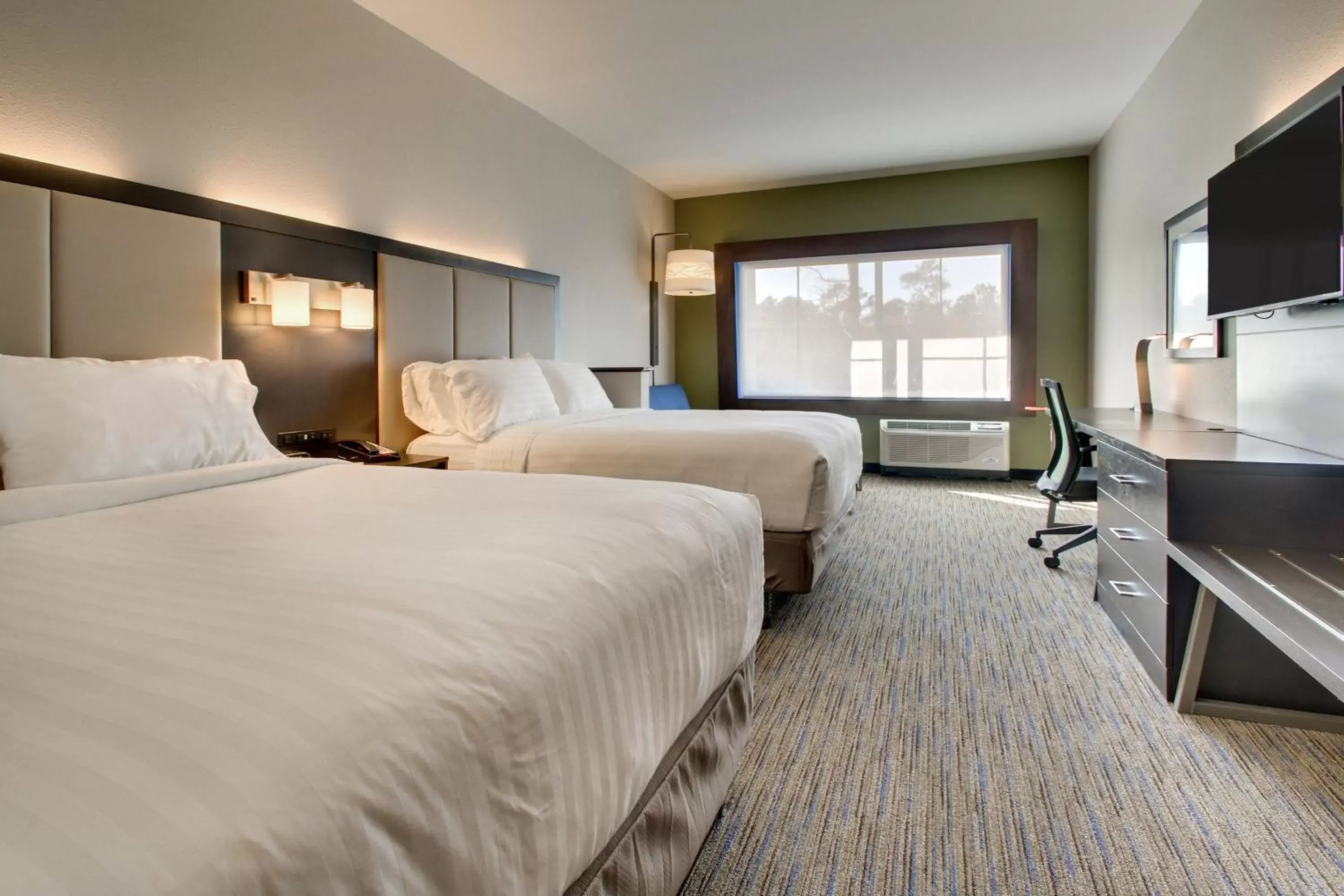 Photo of the whole room in Holiday Inn Express & Suites - Summerville, an IHG Hotel