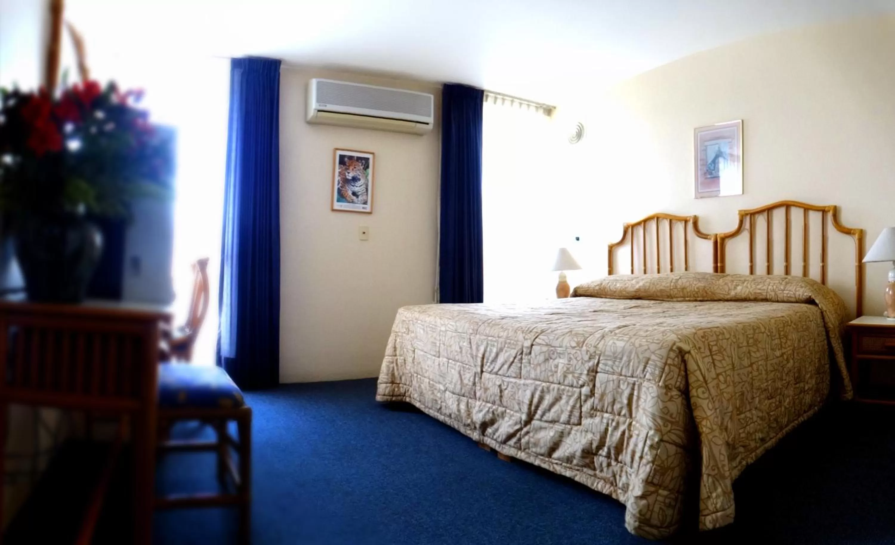 Habitación Ejecutiva in Hotel Fuente Del Bosque