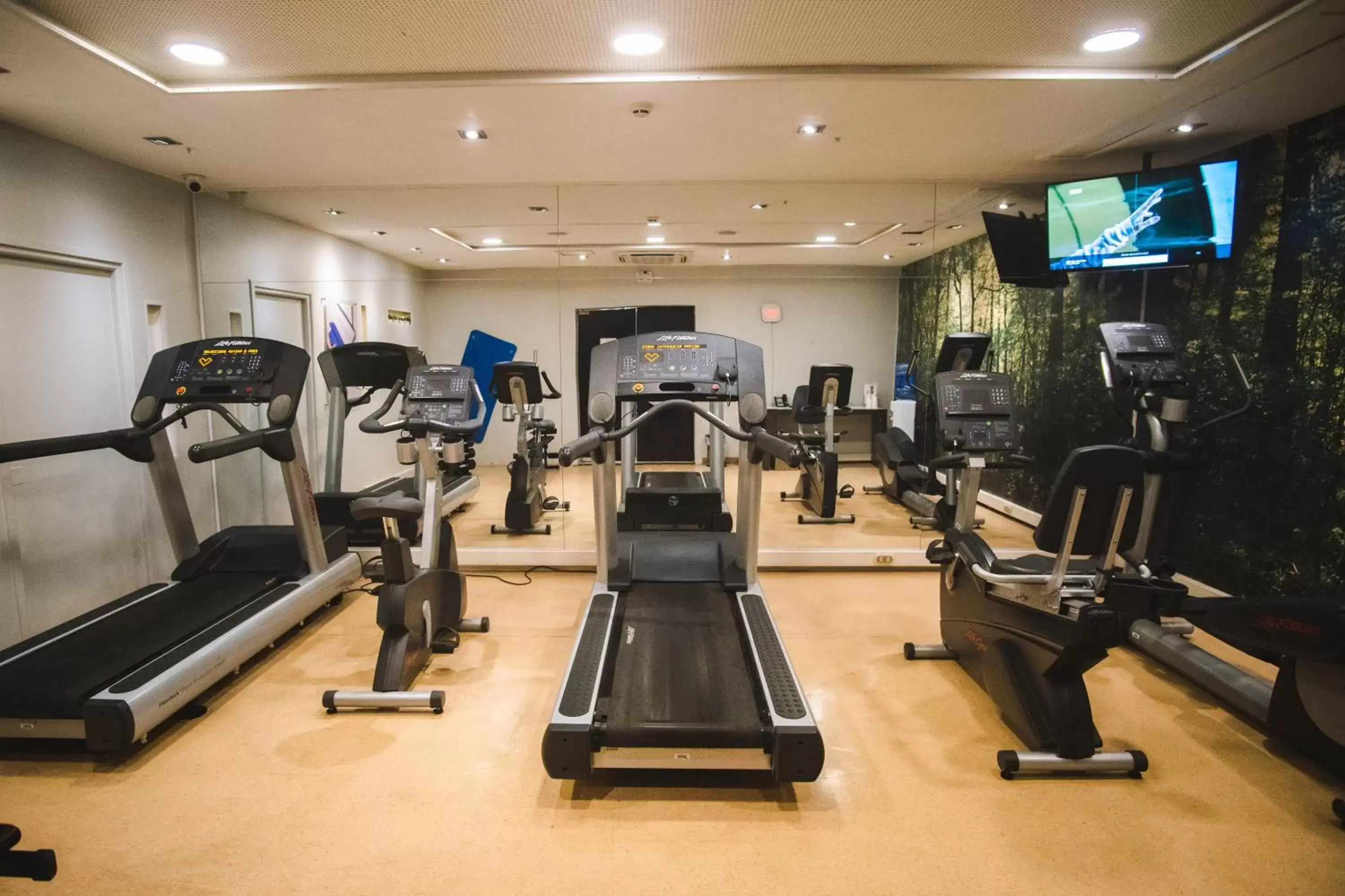 Fitness centre/facilities, Fitness Center/Facilities in Novotel Santiago Vitacura