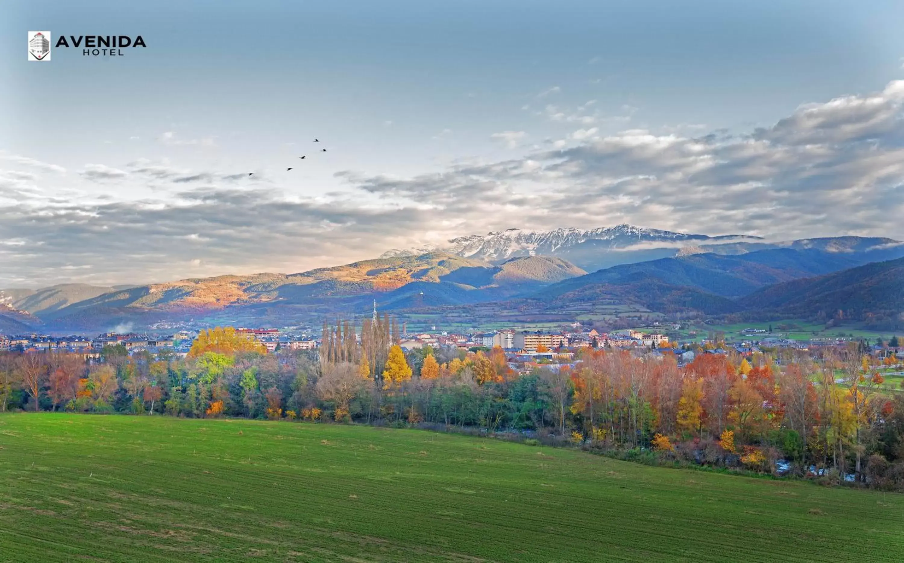 Natural landscape in Hotel Avenida