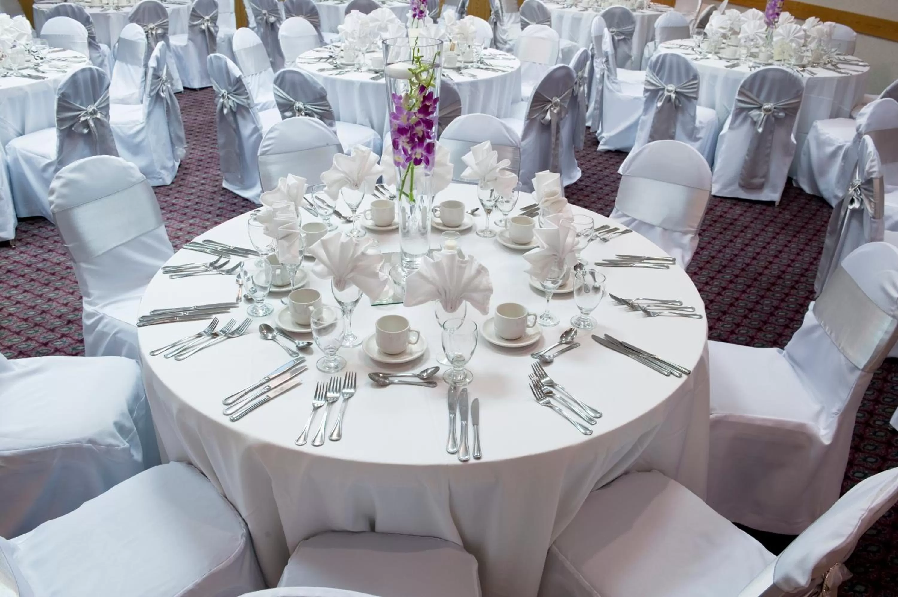 Banquet/Function facilities in Ramada Plaza by Wyndham Prince George