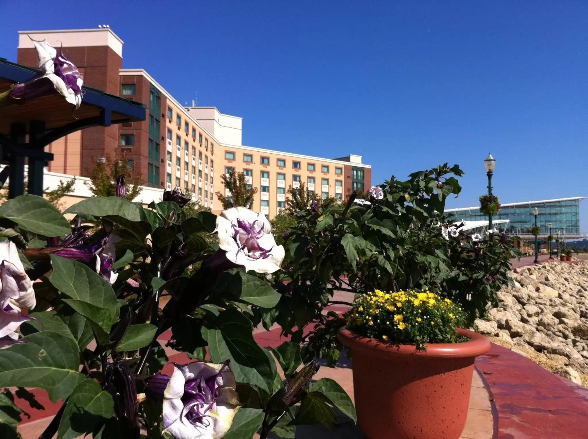 Facade/entrance in Grand Harbor Resort and Waterpark Facade/entrance in Grand Harbor Resort and Waterpark