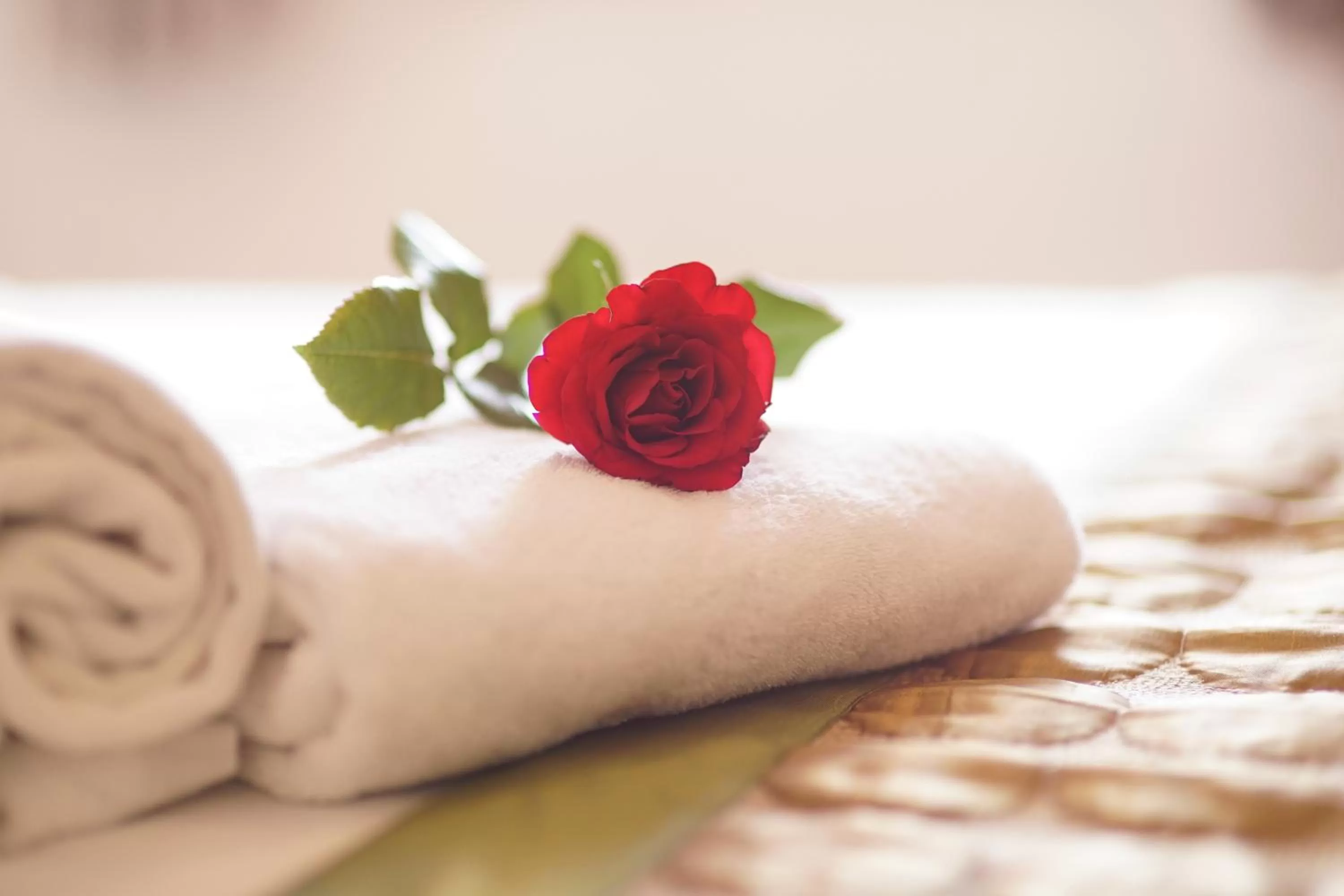 Bed in Palago mc Hotel Park View