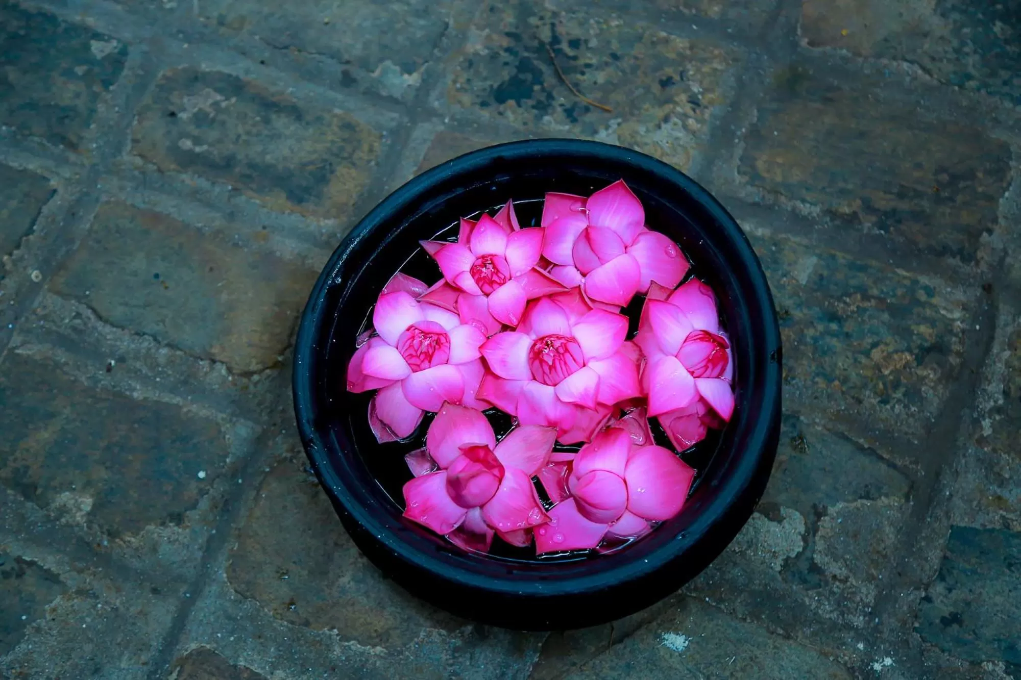 Decorative detail in Rockwell Colombo