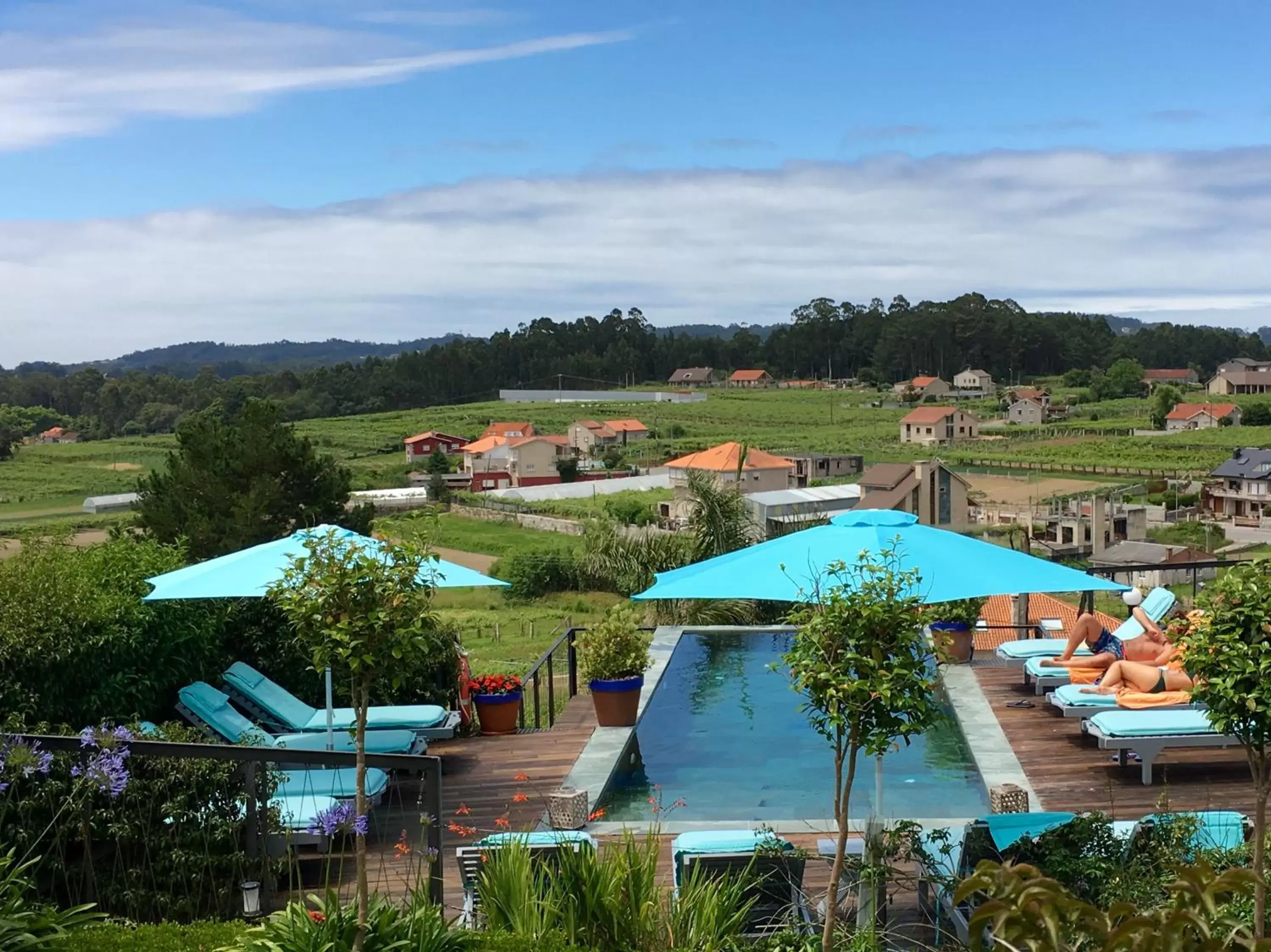 Day, View in Quinta de San Amaro Rias Baixas