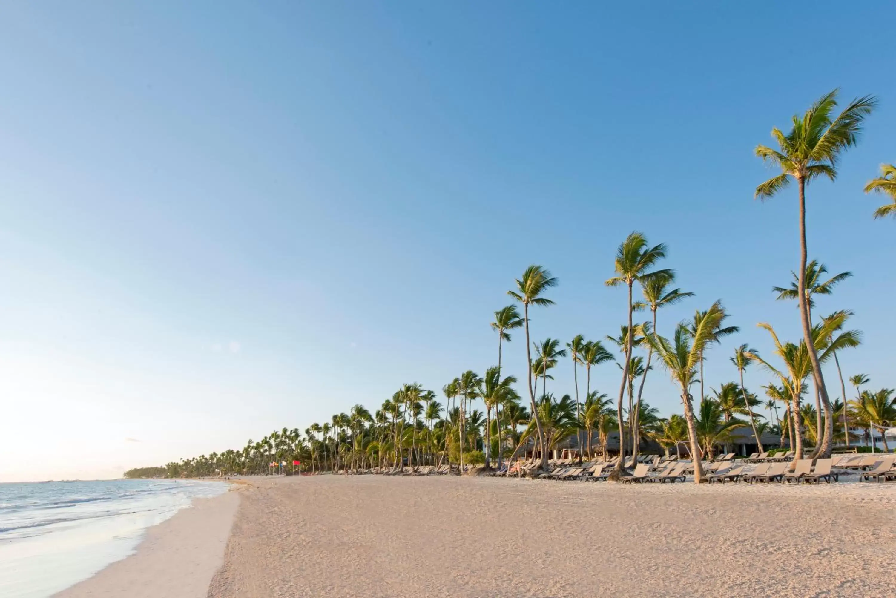 Beach in Occidental Punta Cana - All Inclusive