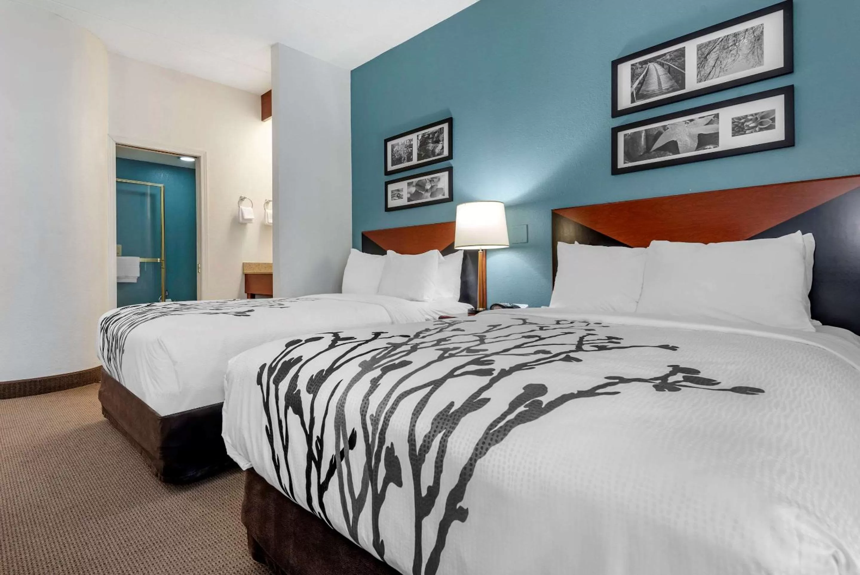 Photo of the whole room, Bed in Sleep Inn Amherst - Buffalo North near University