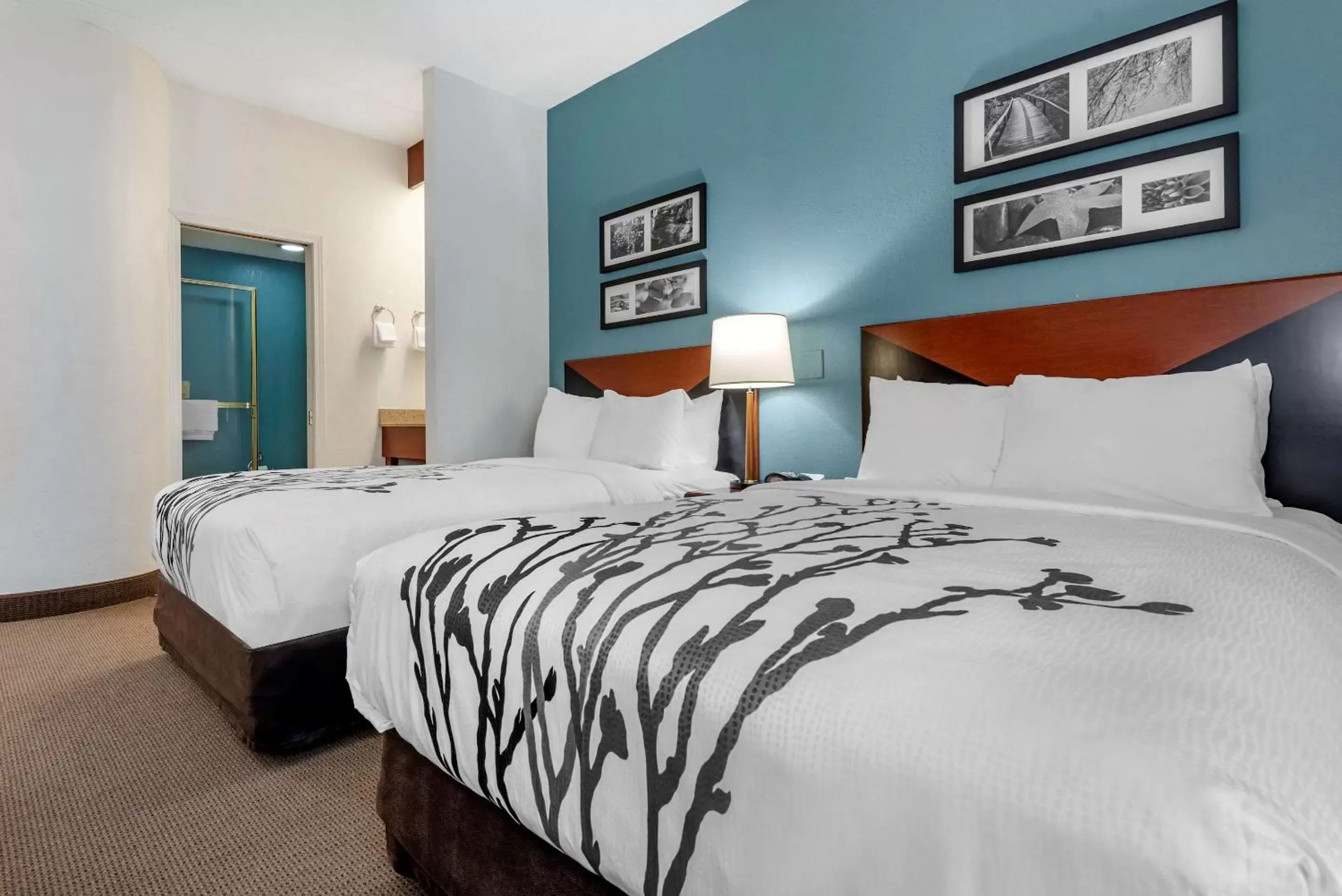 Photo of the whole room, Bed in Sleep Inn Amherst - Buffalo North near University Photo of the whole room, Bed in Sleep Inn Amherst - Buffalo North near University