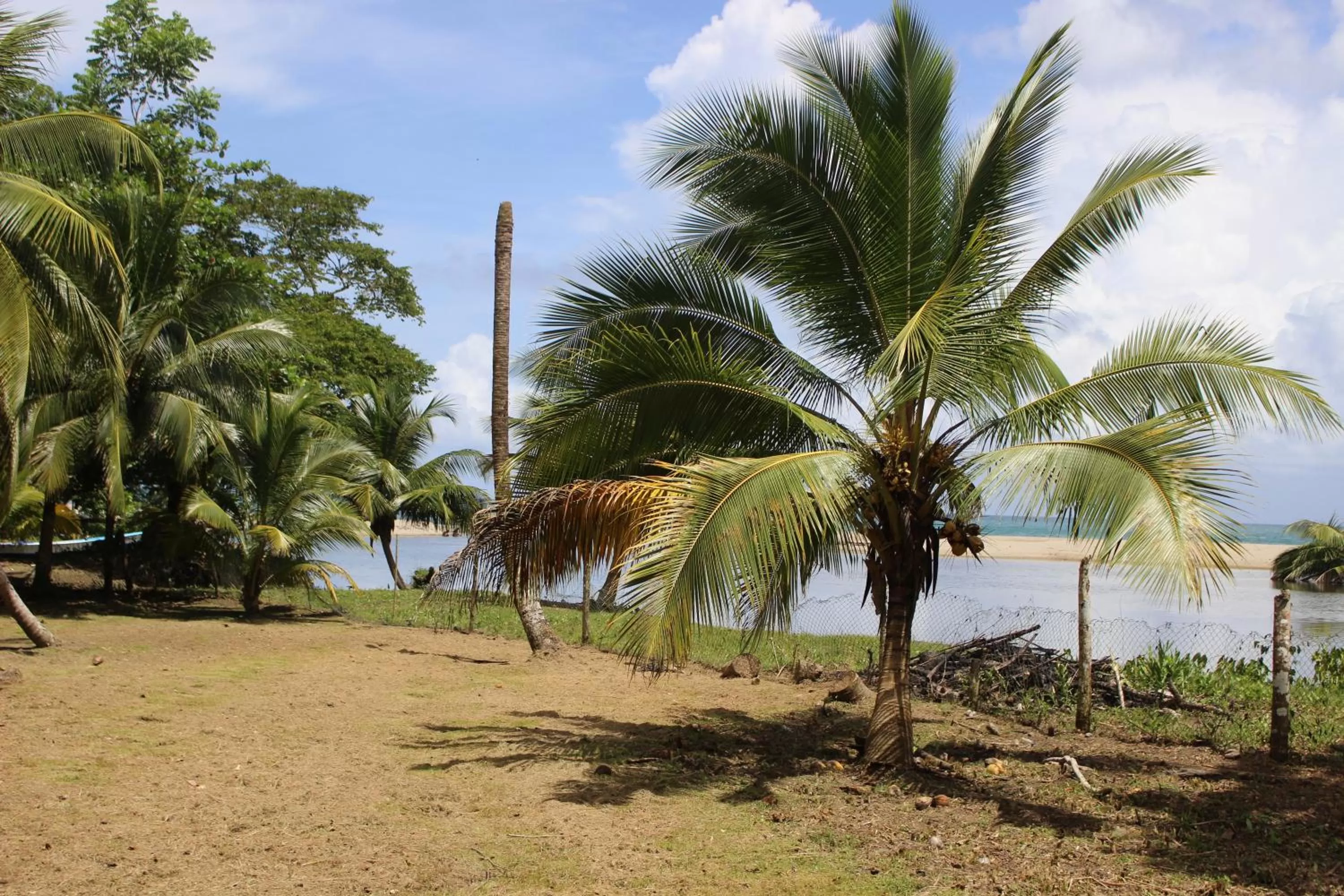 Garden view in Acajou Hotel