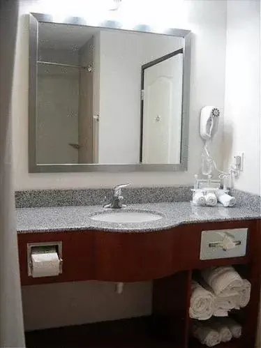 Bathroom in Holiday Inn Express Hotel & Suites Carlsbad, an IHG Hotel