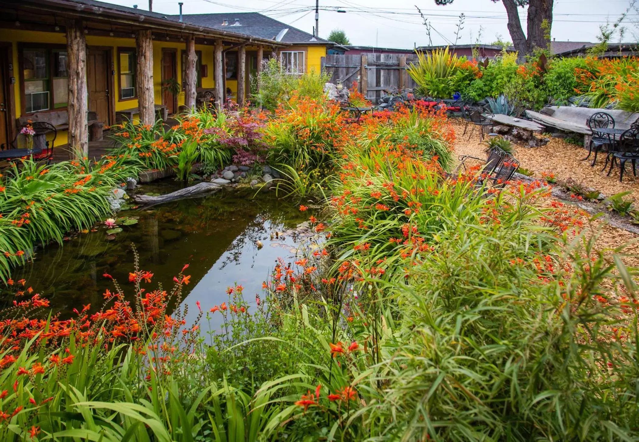 Garden in The Front Porch Hidden Oasis