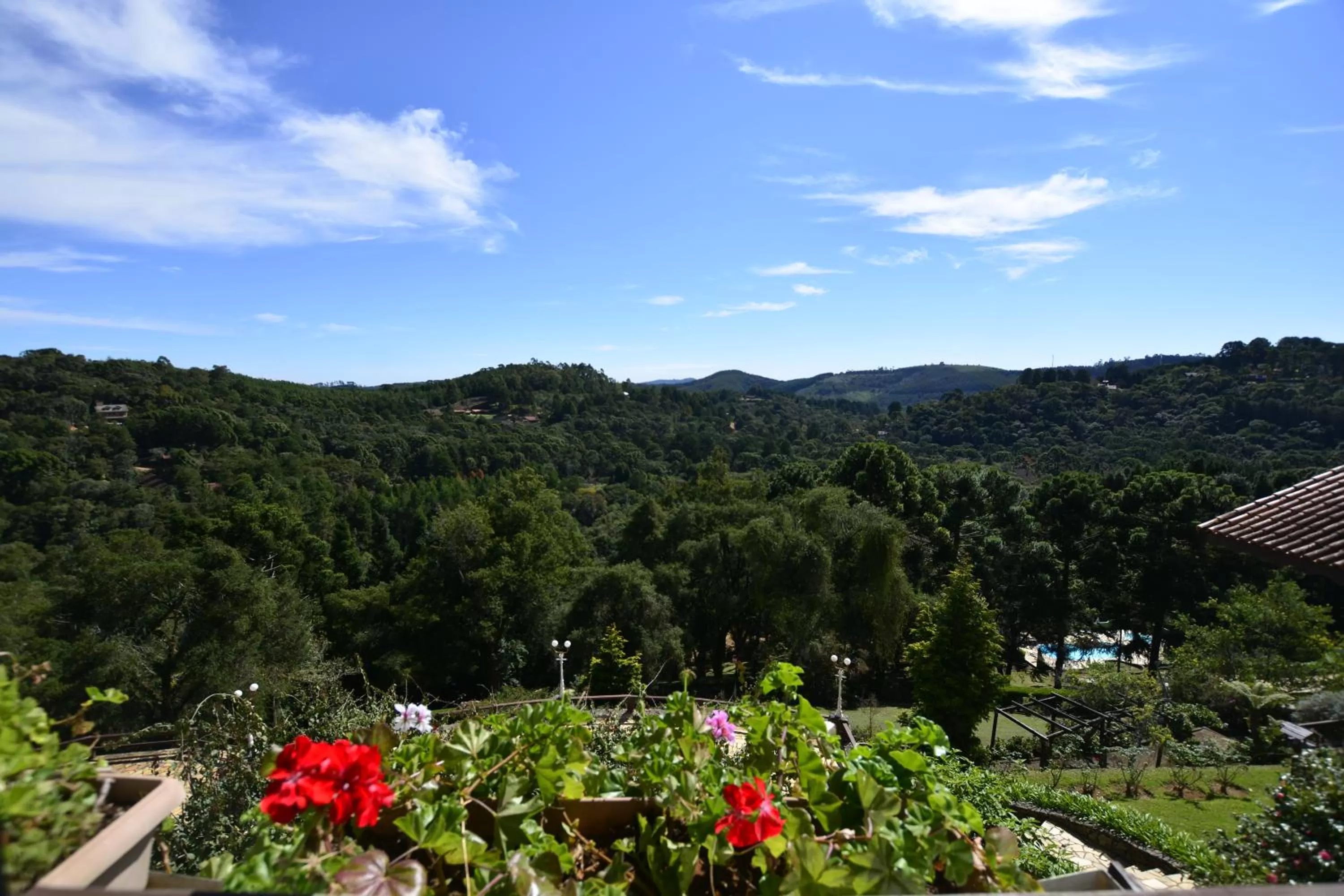 Garden view in Hotel Meissner Hof