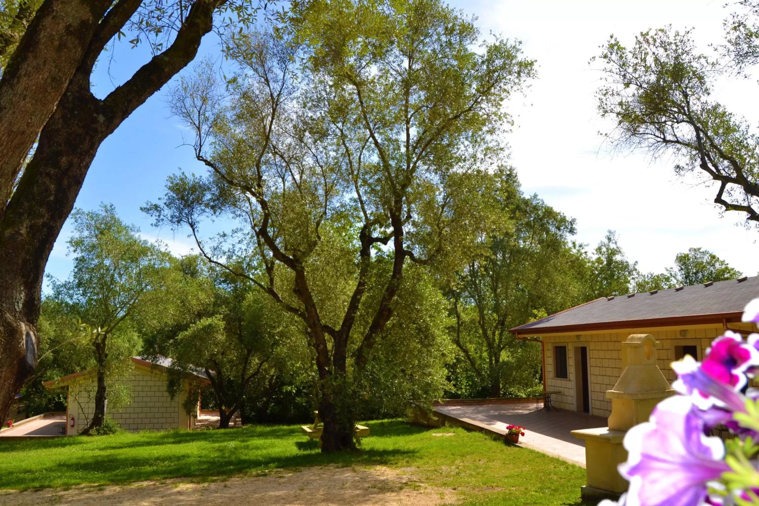 Bird's eye view in Green Park Hotel & Residence