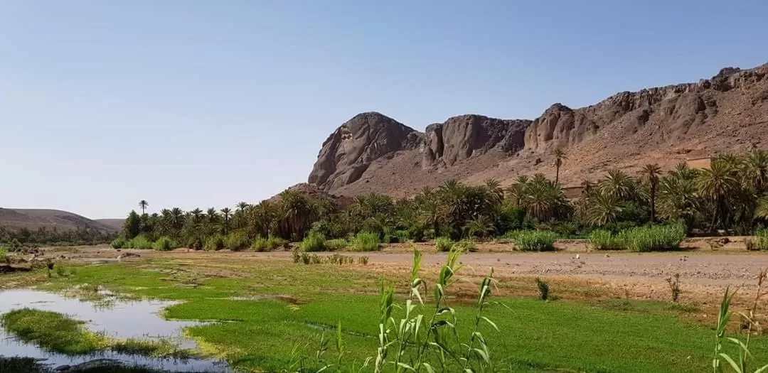 ecolodge bivouac des aigles
