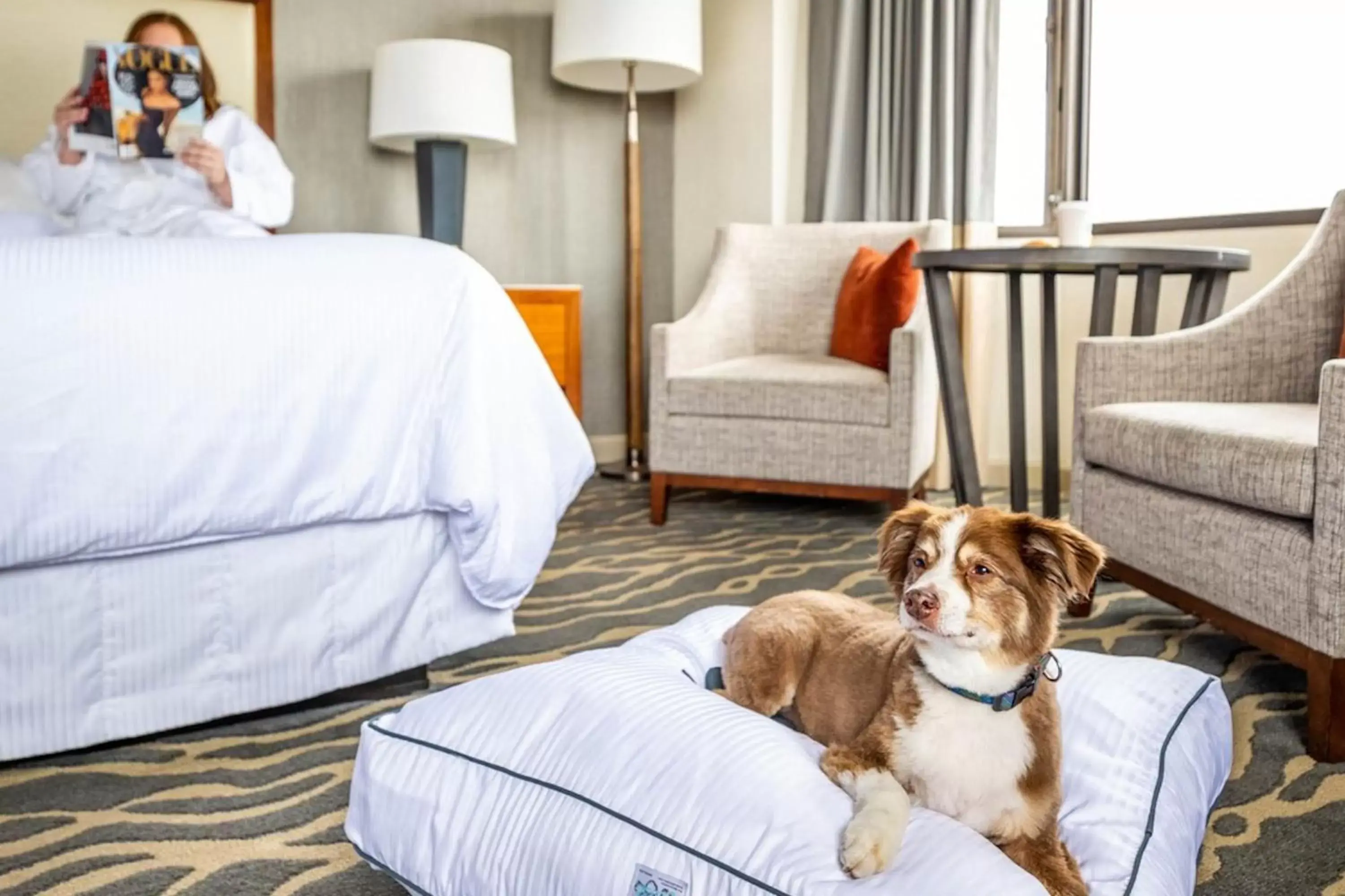 Photo of the whole room, Pets in The Westin St. Francis San Francisco on Union Square